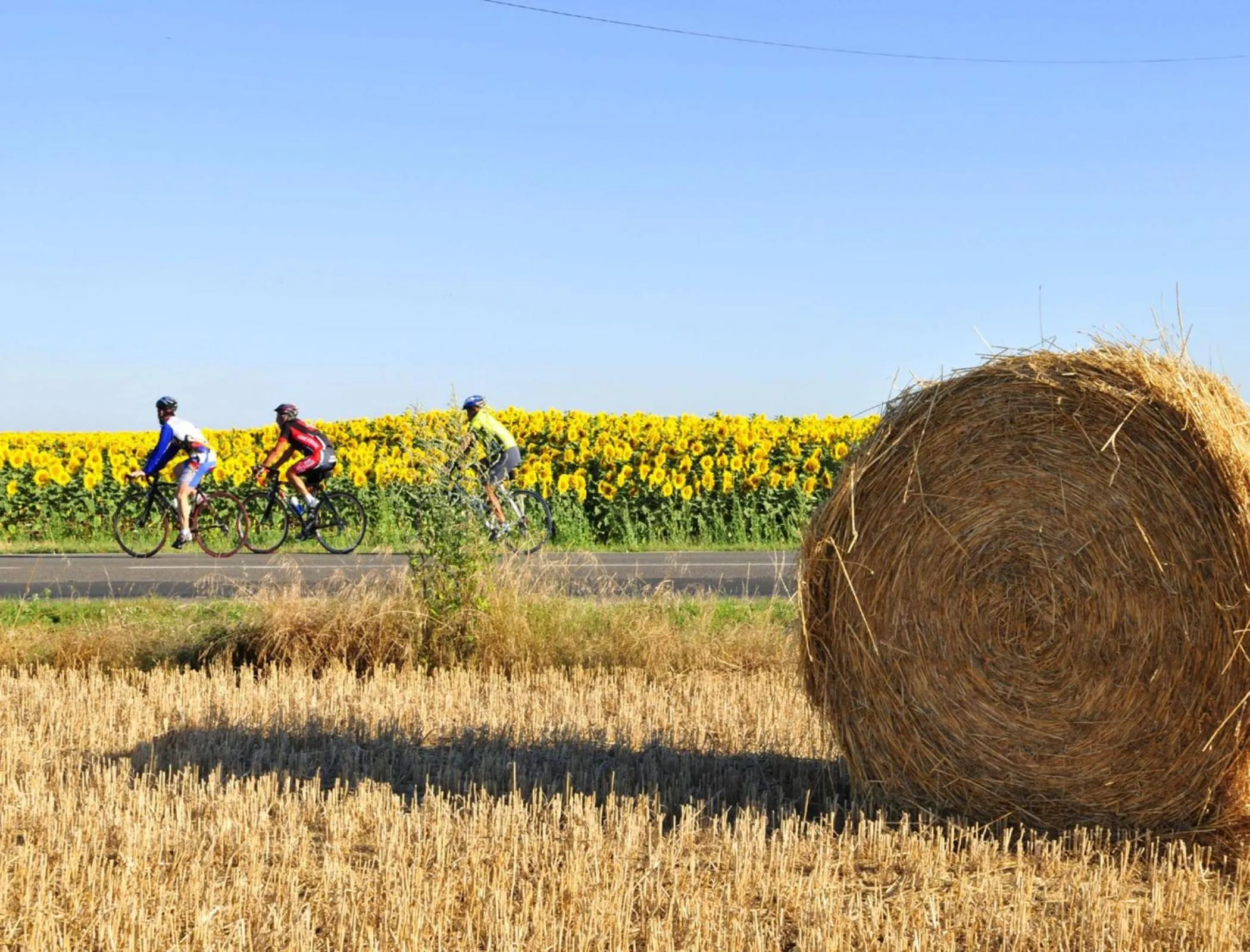 Area and facilities in Azureva Vendée Océan