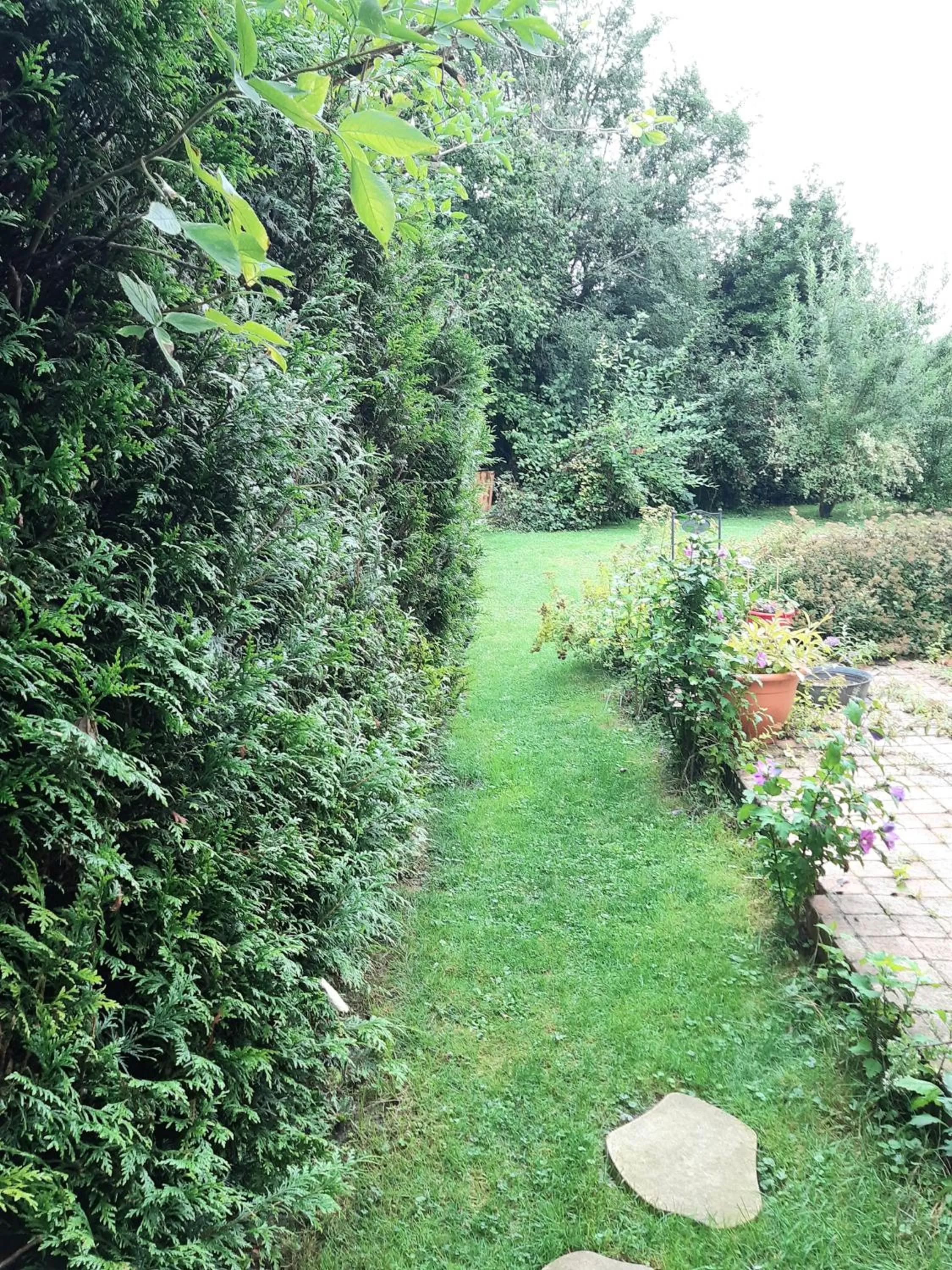 Garden view in Les Alouettes B&B