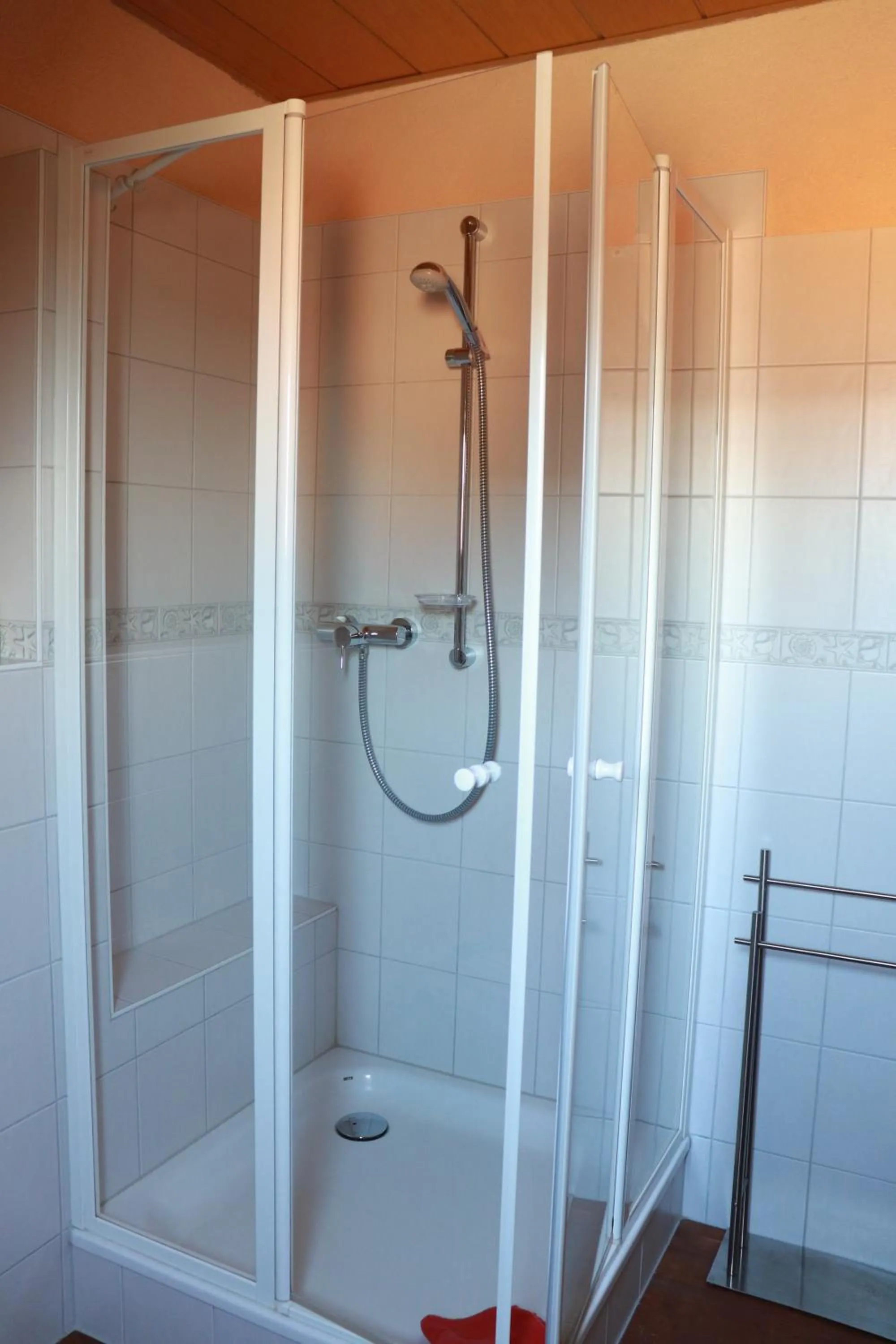 Shower in Landleben pur