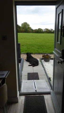 Pets in The Stables - Deer Park Farm