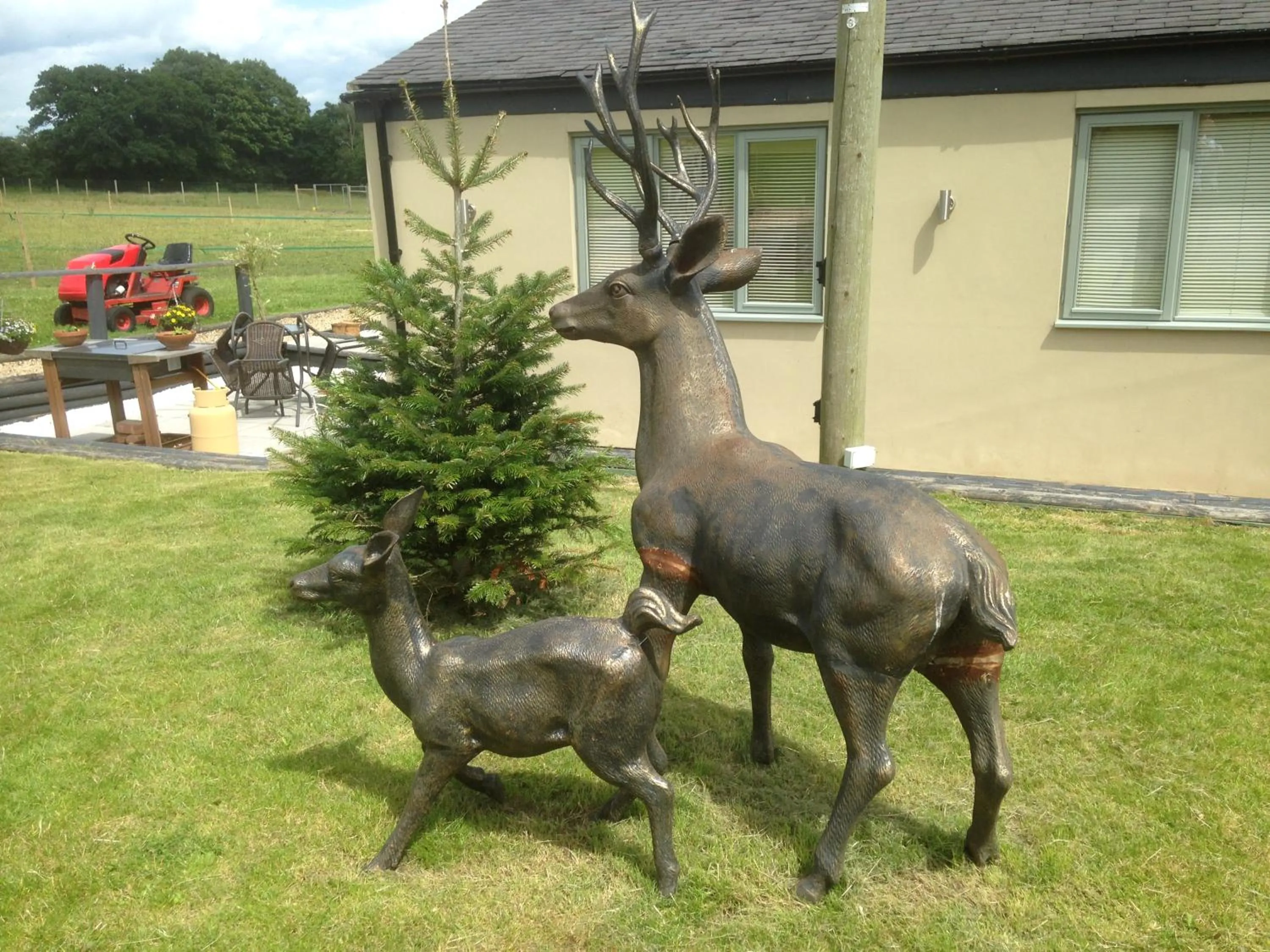Day in The Stables - Deer Park Farm