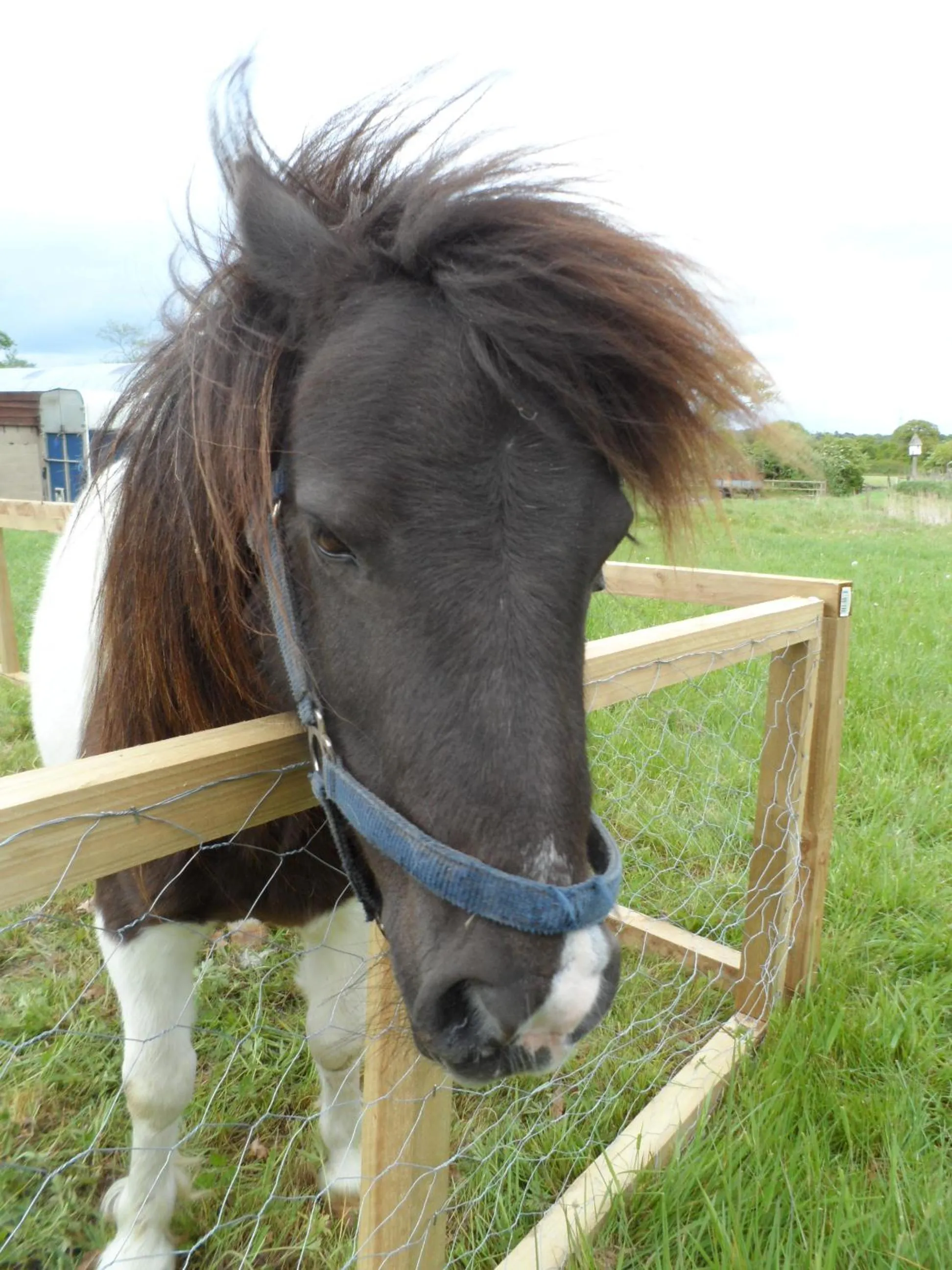 The Stables - Deer Park Farm