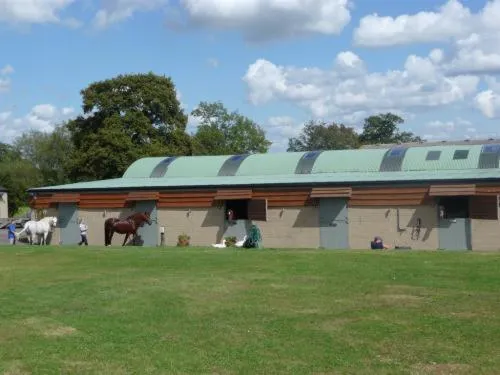 Animals in The Stables - Deer Park Farm