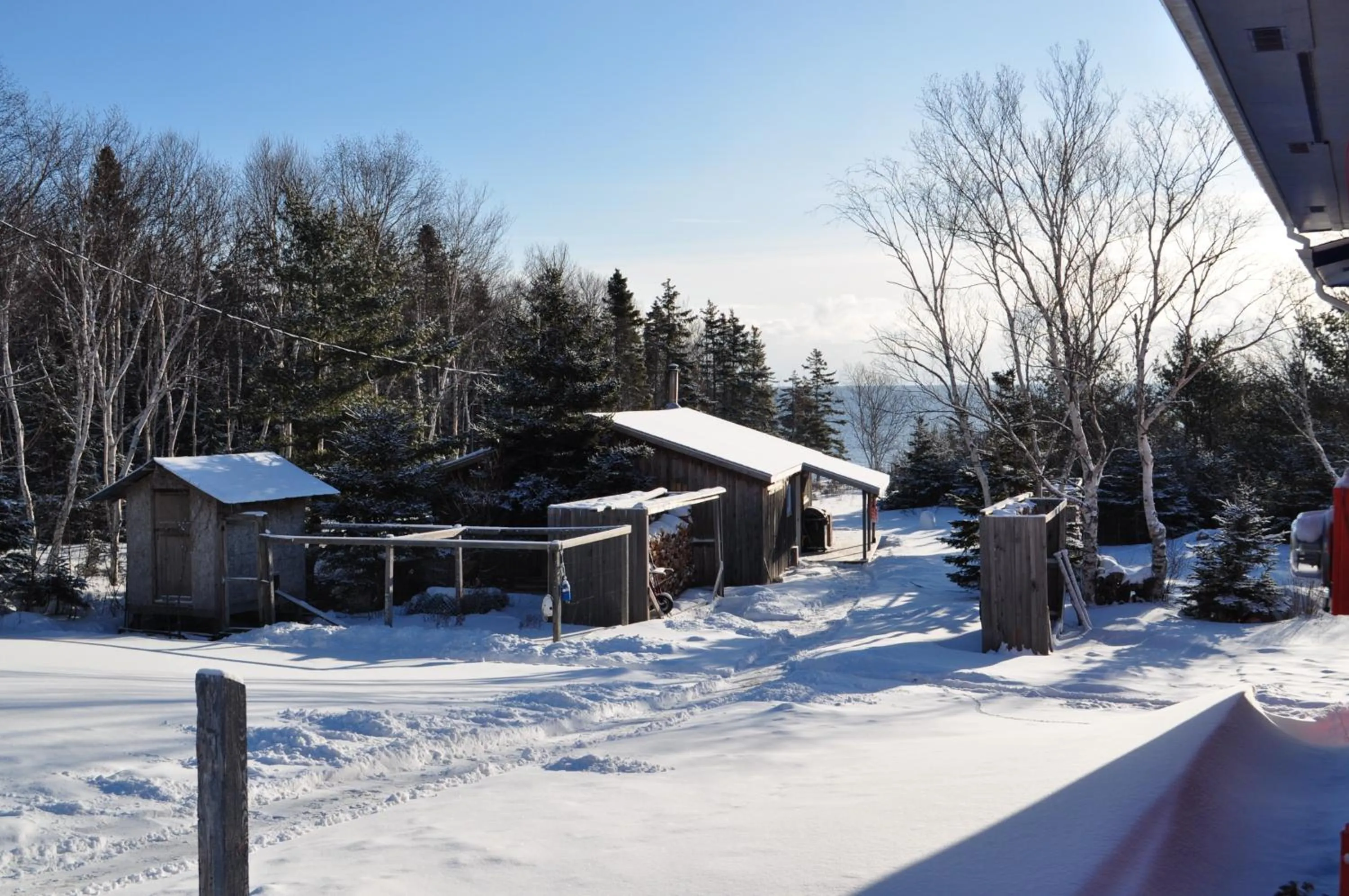 Winter in The Sleeping Moose Cottage