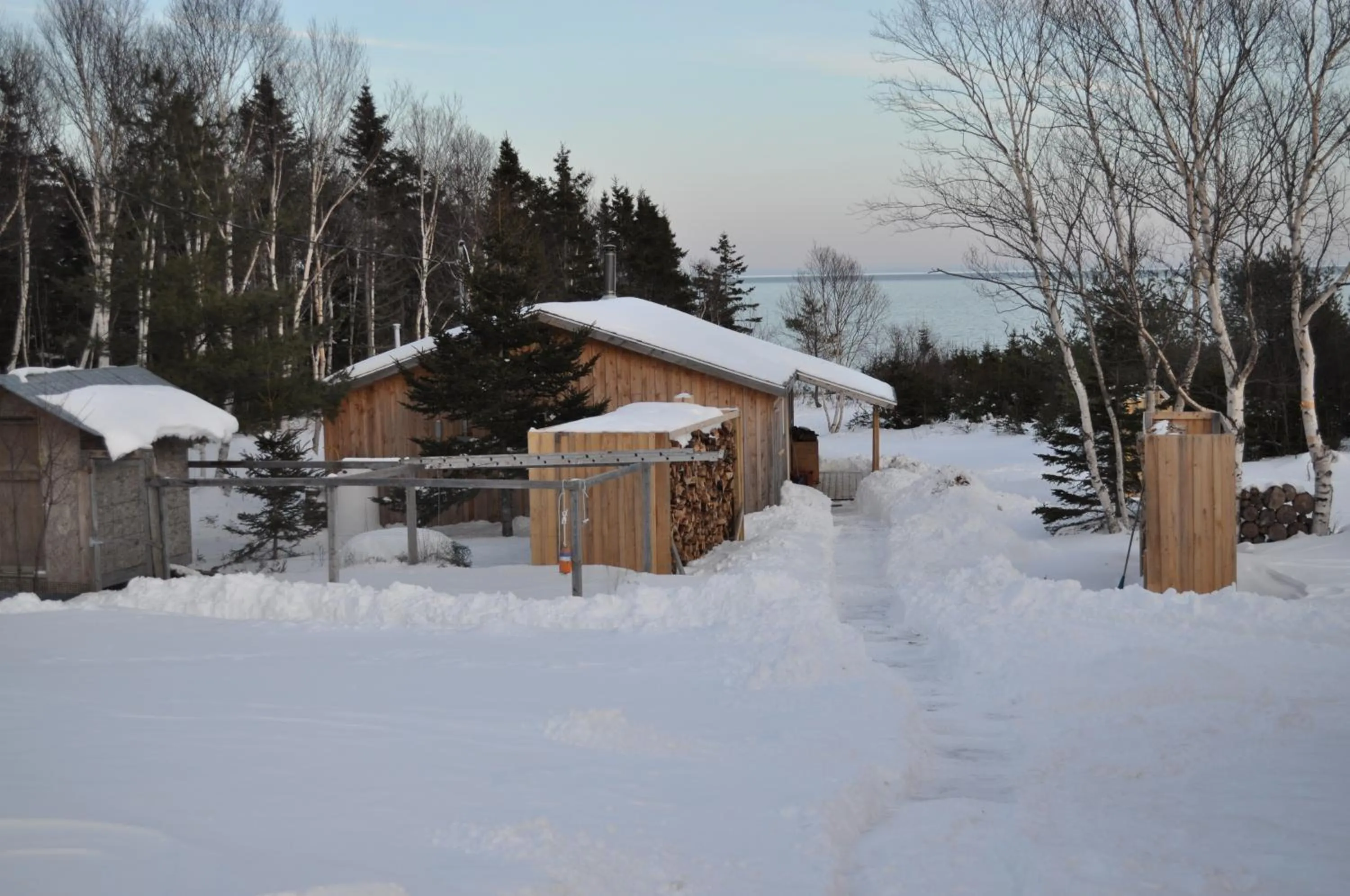 Winter in The Sleeping Moose Cottage