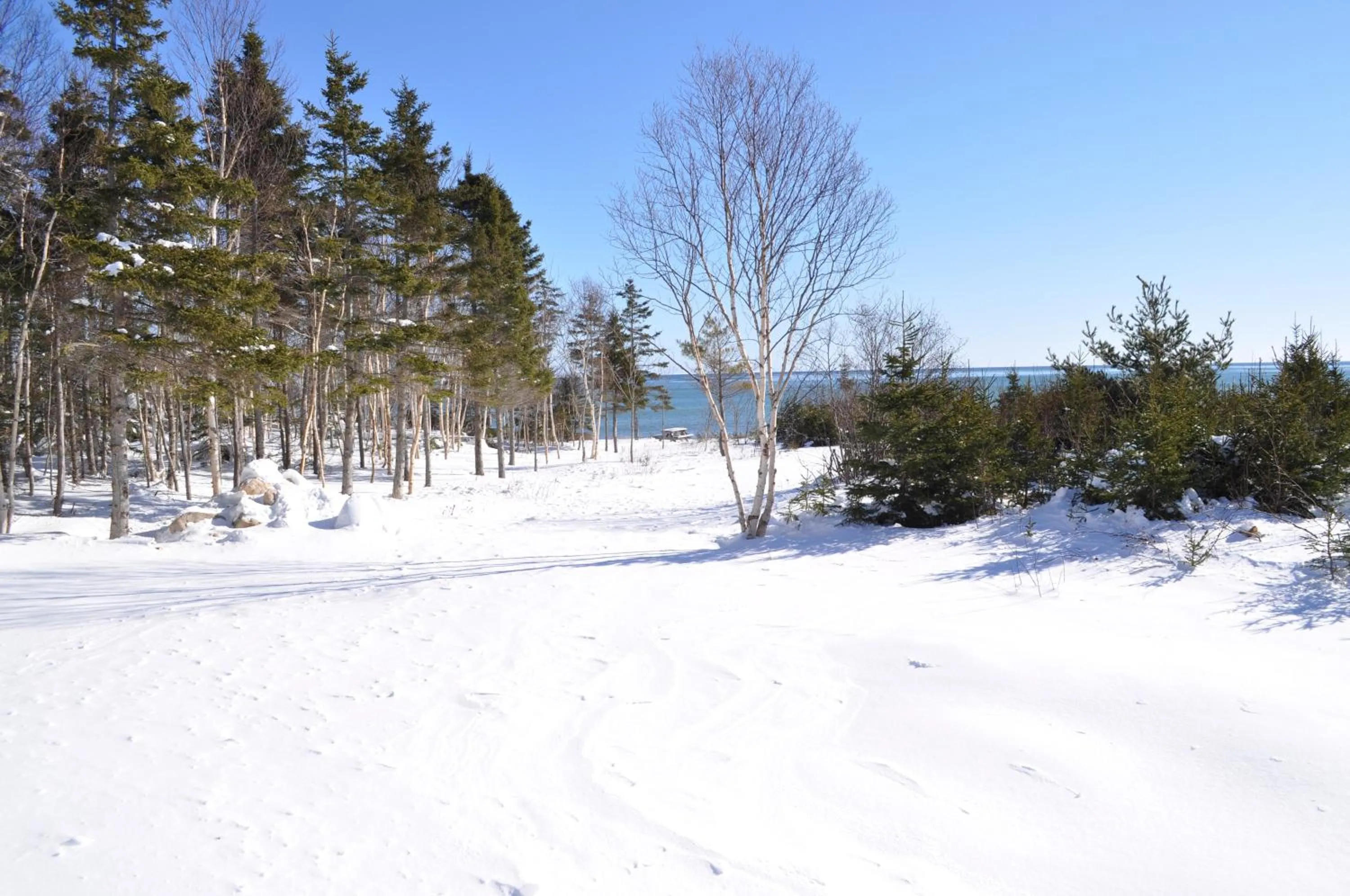 Winter in The Sleeping Moose Cottage