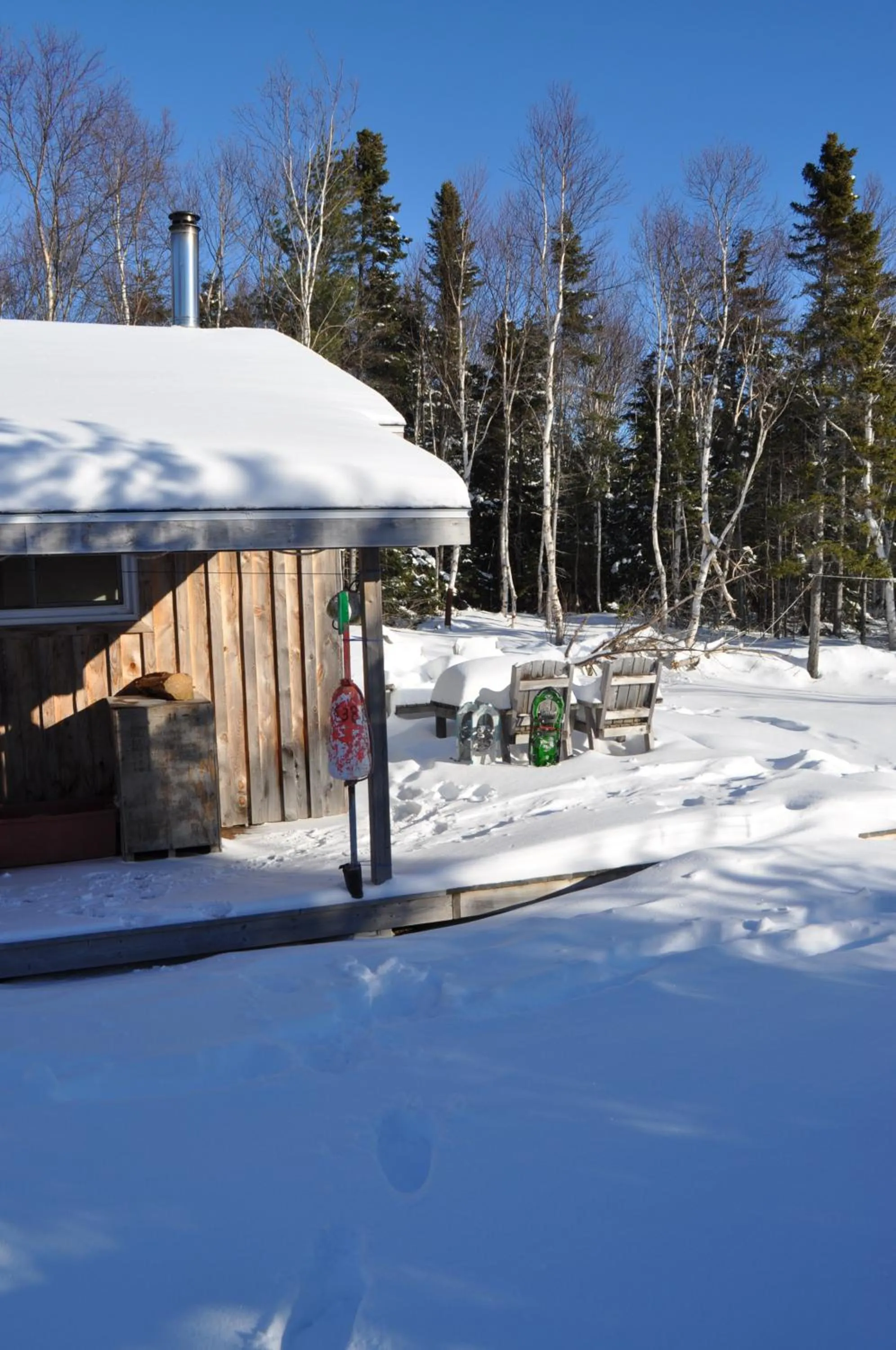 Winter in The Sleeping Moose Cottage