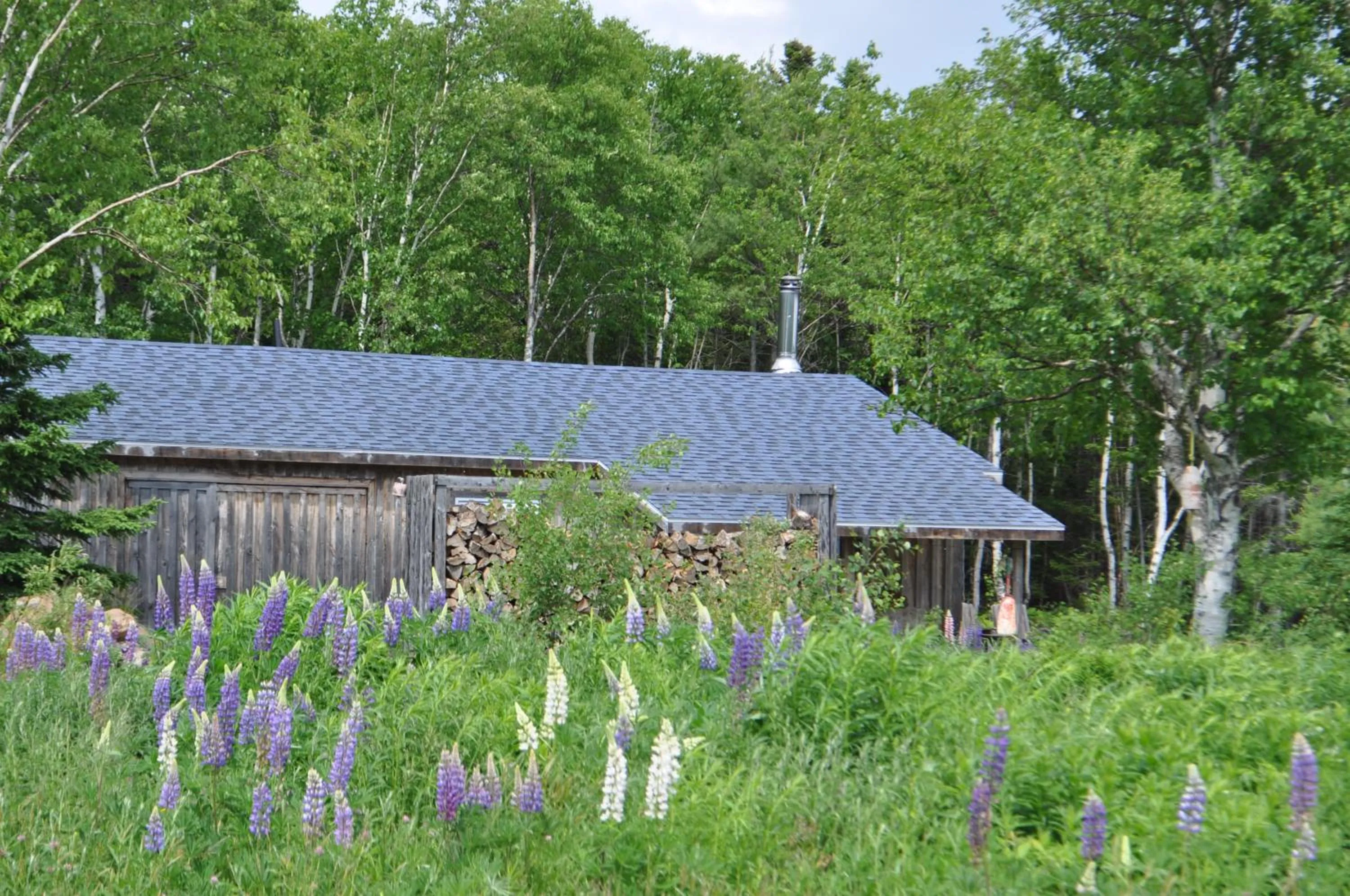 Property building in The Sleeping Moose Cottage