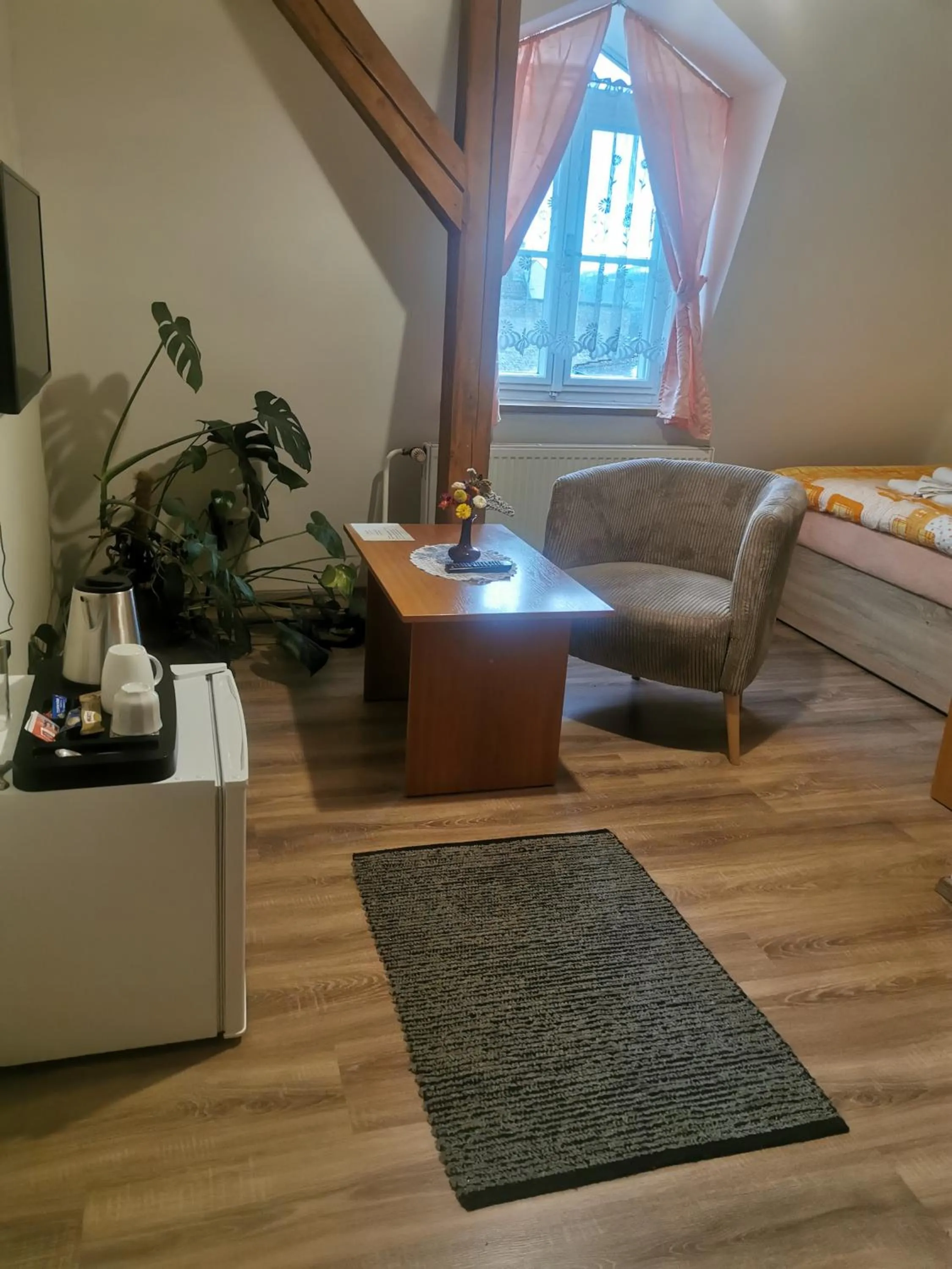 Single Room in Hotel Alster