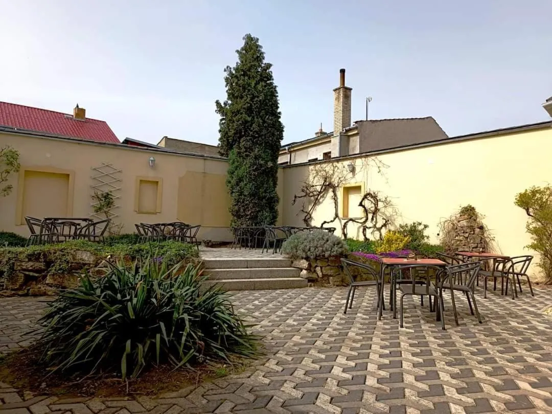 Garden view in Hotel Alster