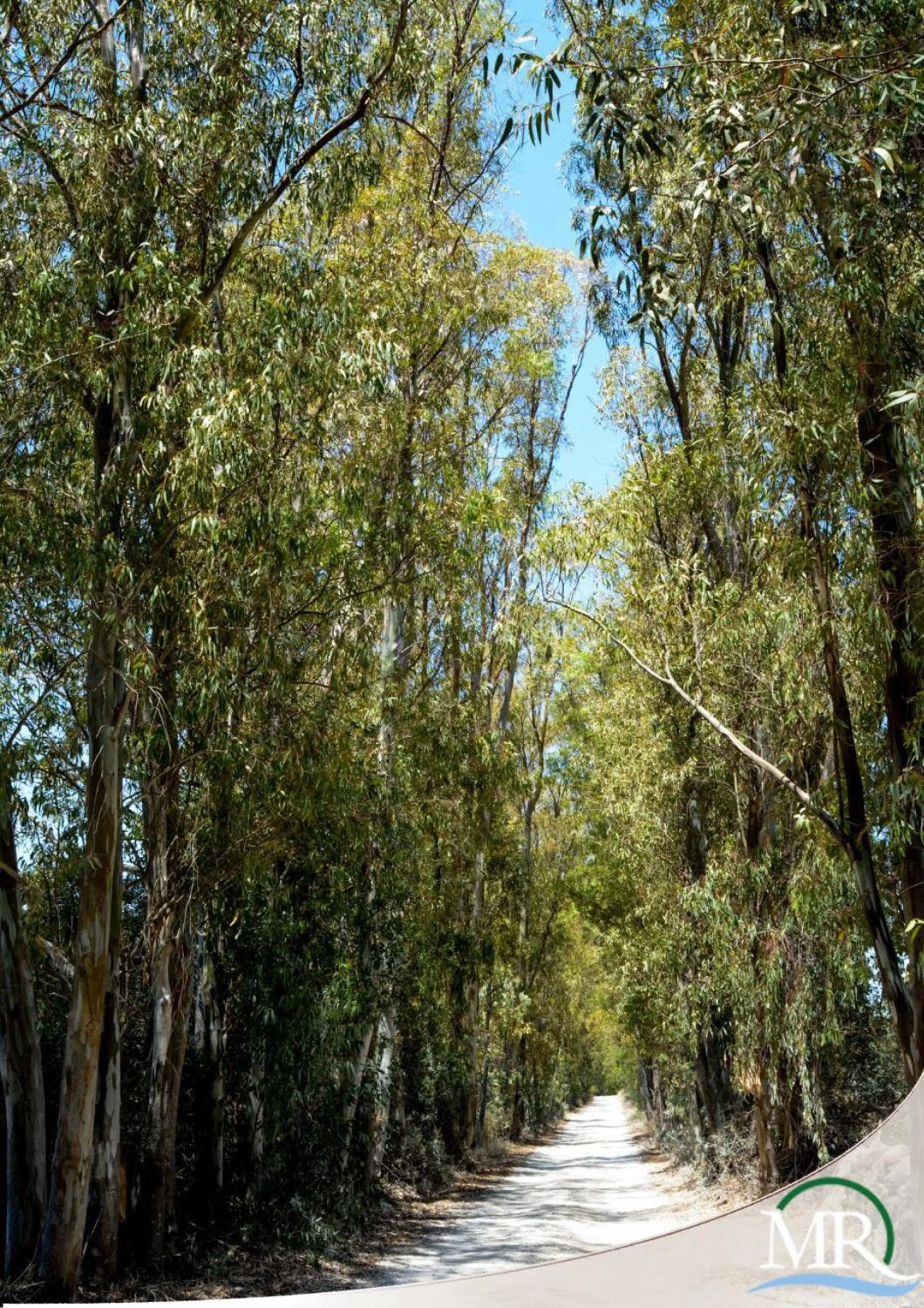 Street view in Residence Hotel Monte Ricciu