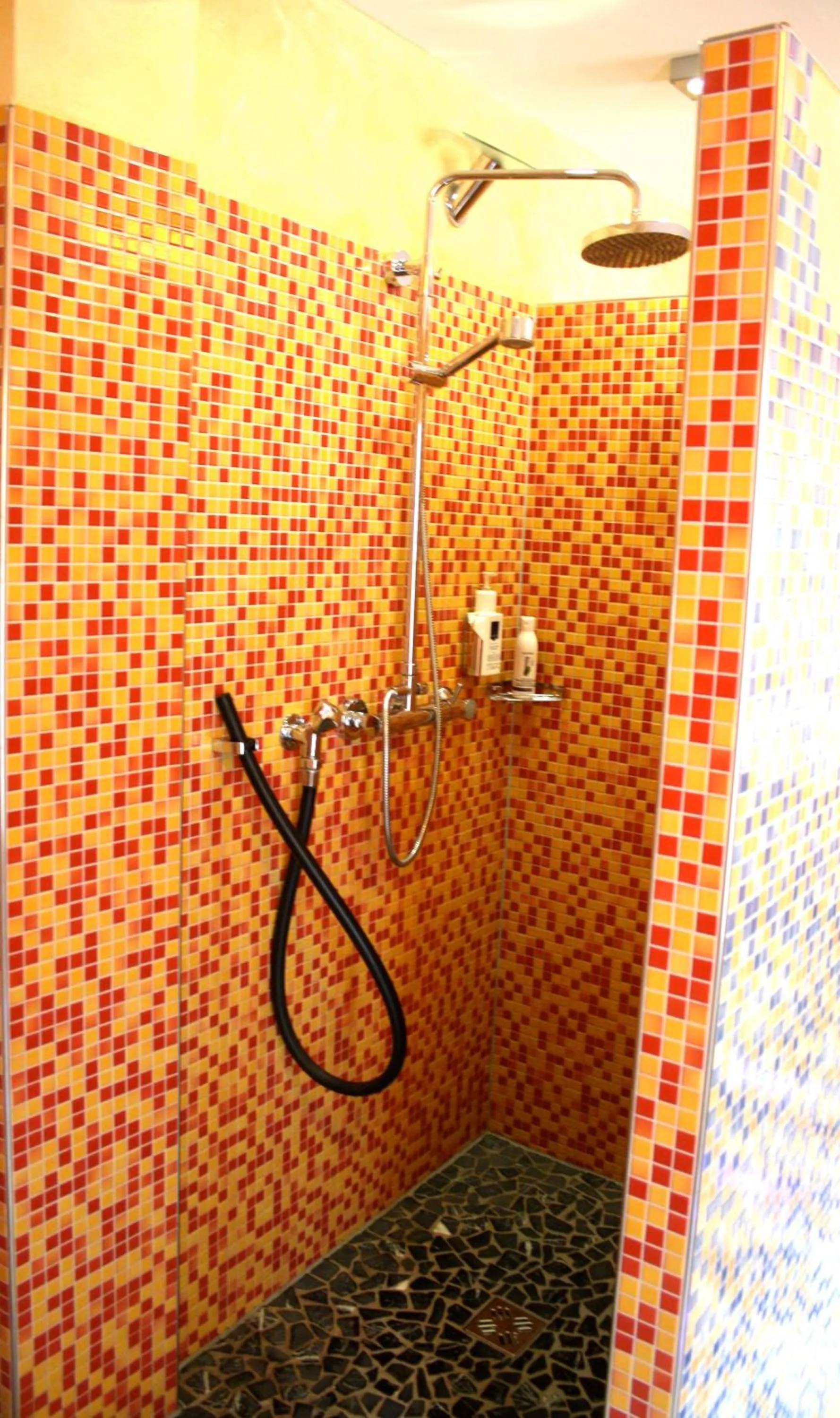 Shower in Hotel Elegant