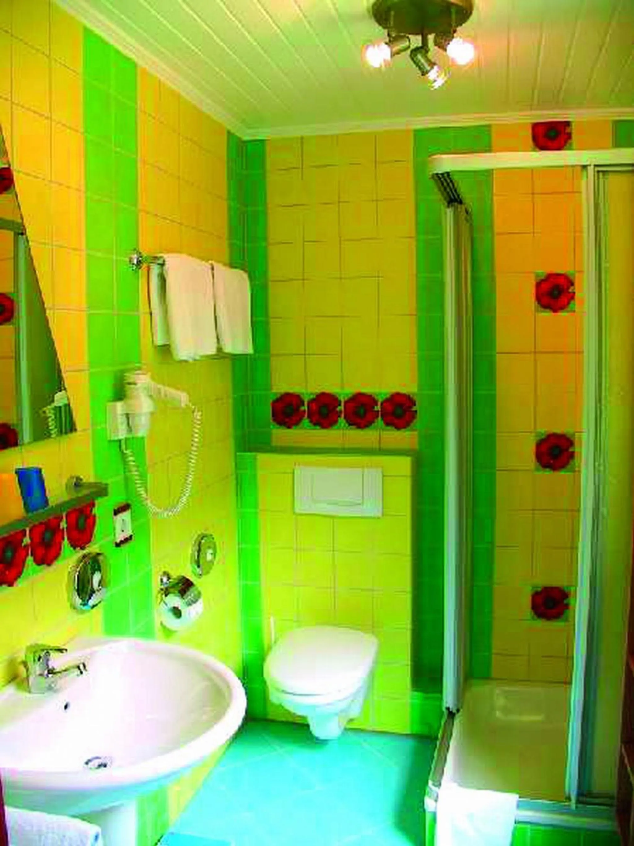 Bathroom in Hotel Elegant