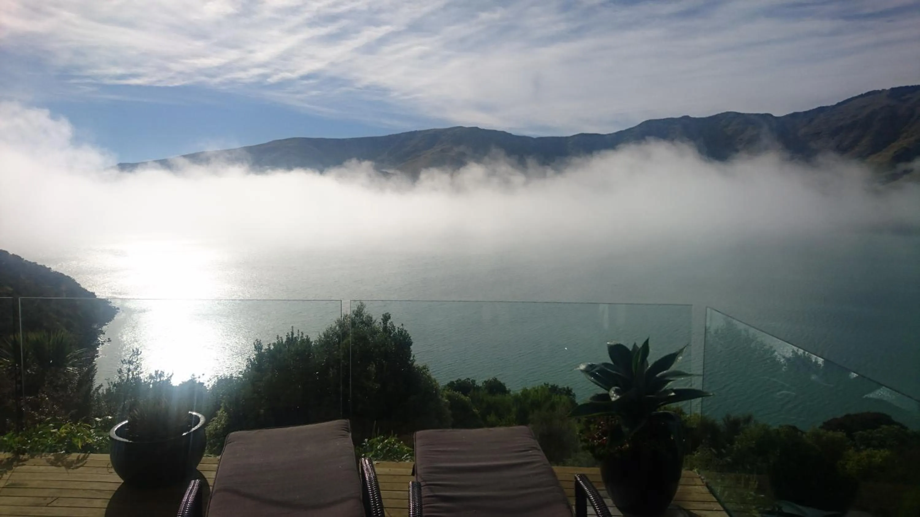 Garden view in Port Levy B & B Christchurch