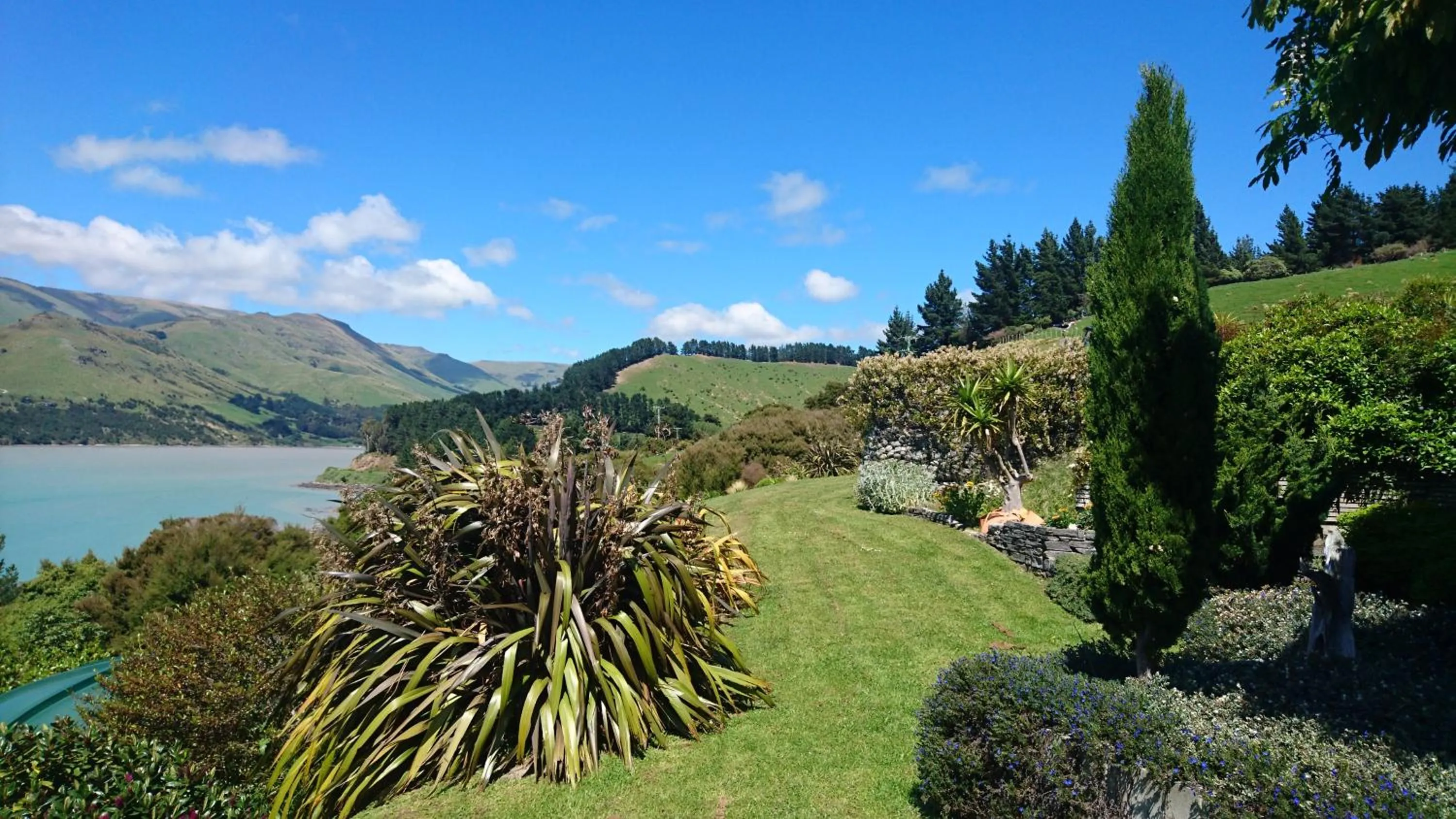 Garden view in Port Levy B & B Christchurch