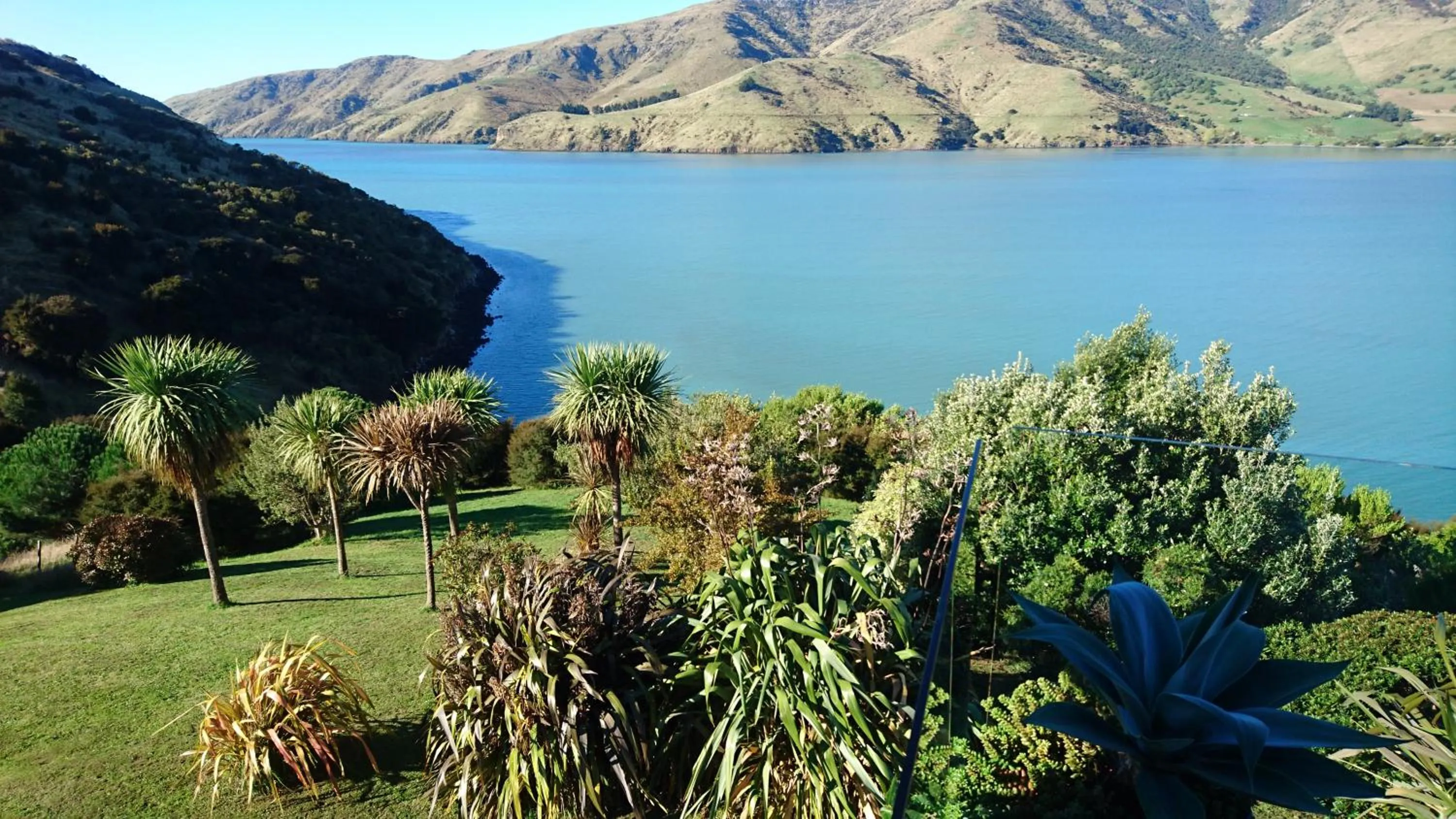 Sea view in Port Levy B & B Christchurch