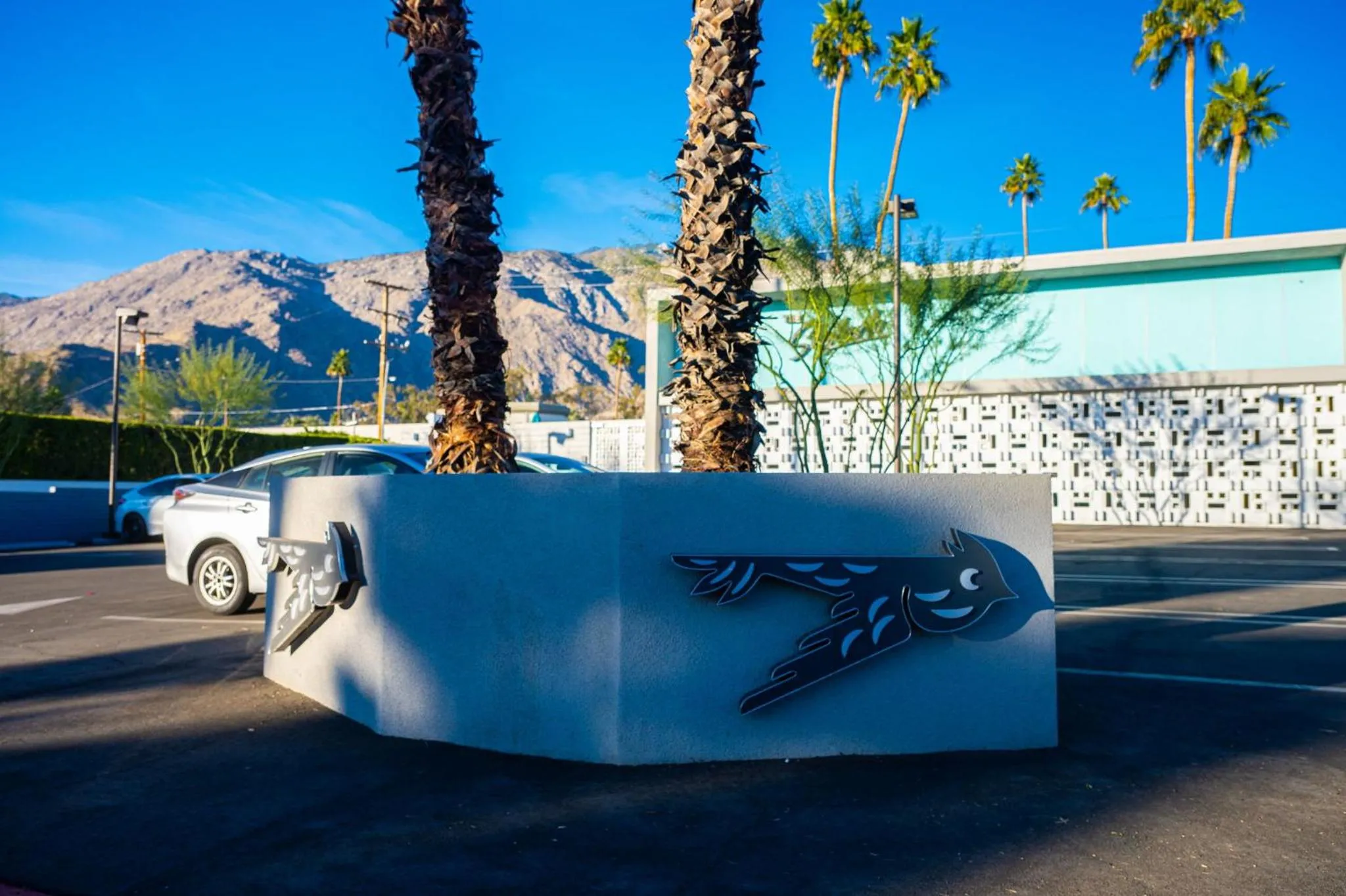 Mountain view in The Skylark, a Palm Springs Hotel