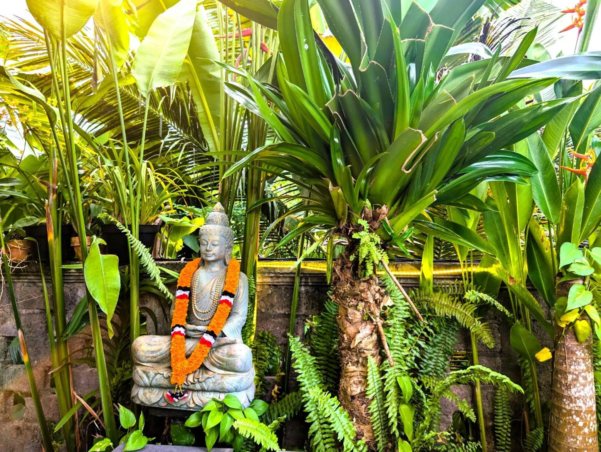 Garden in Ayumar Homestay Medewi