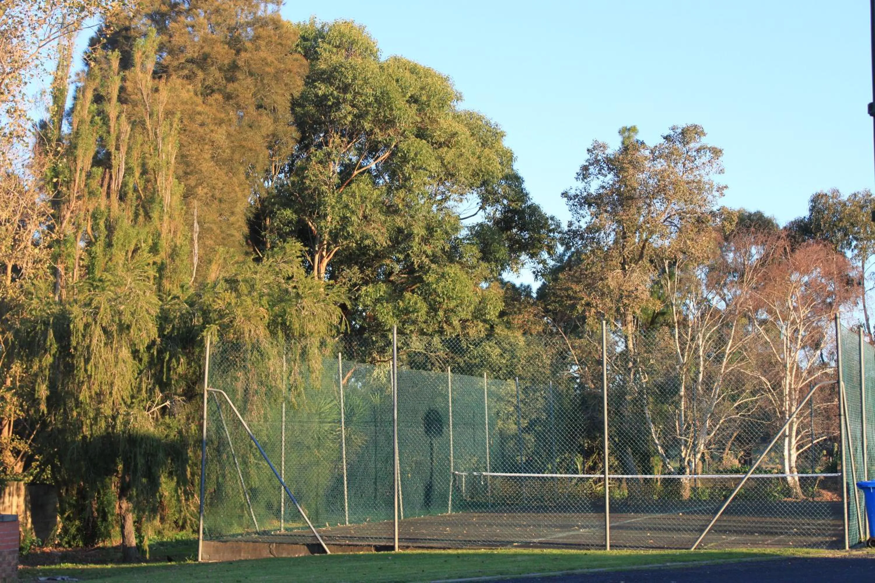 Tennis court in Mount Gambier International