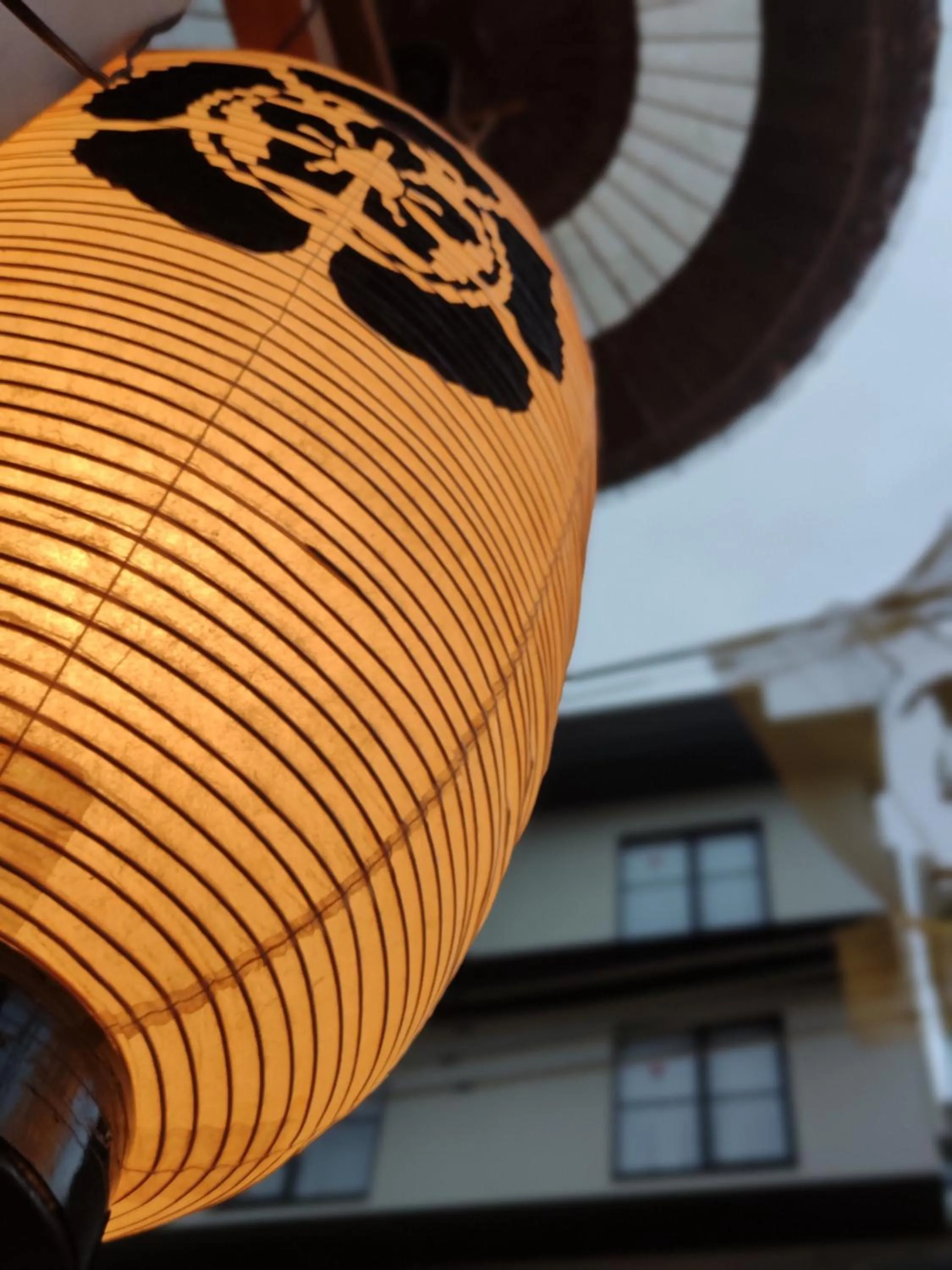 Neighbourhood in Iwatoyama Hostel