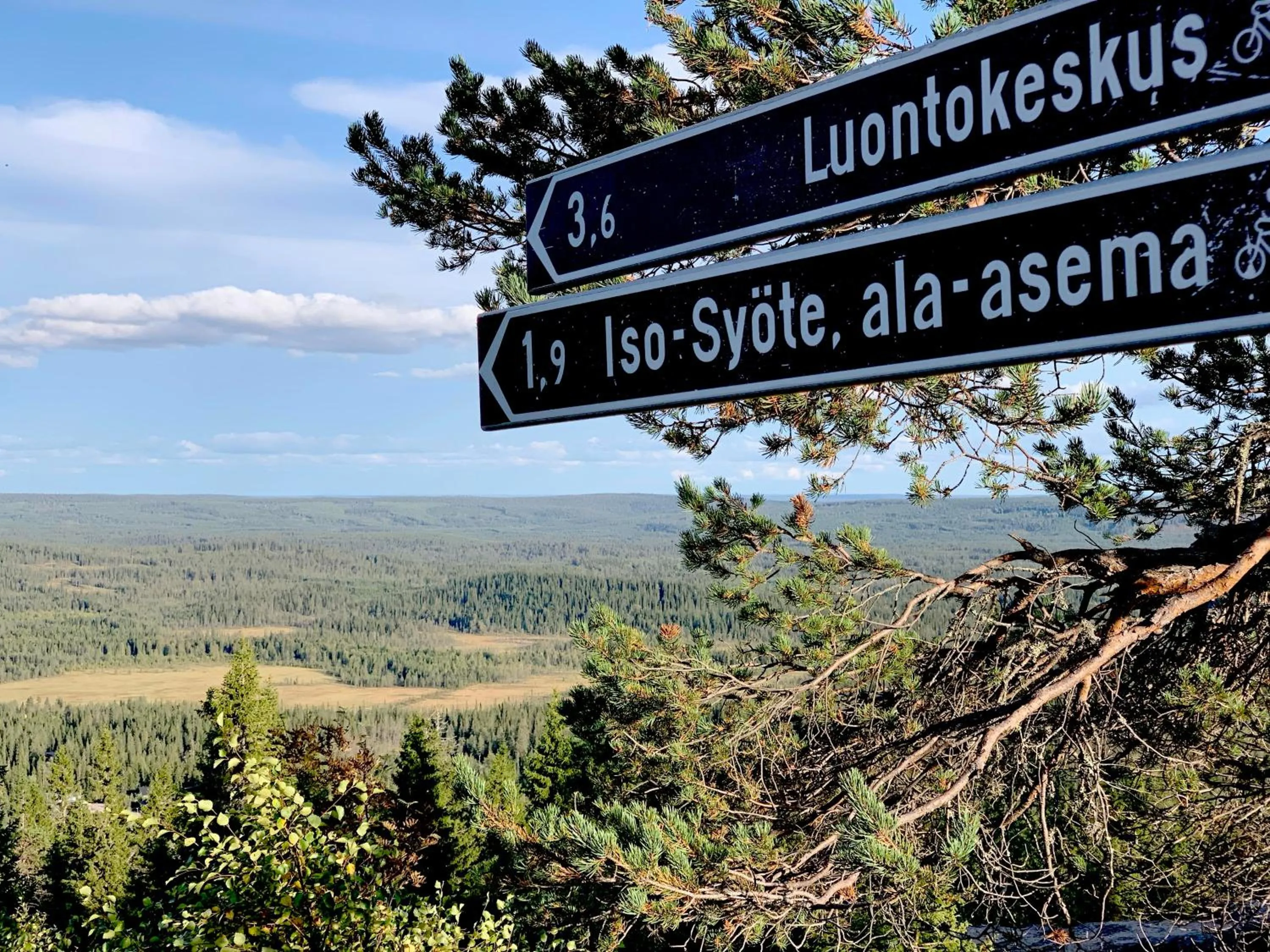 Natural landscape in KIDE hotel by Iso-Syöte