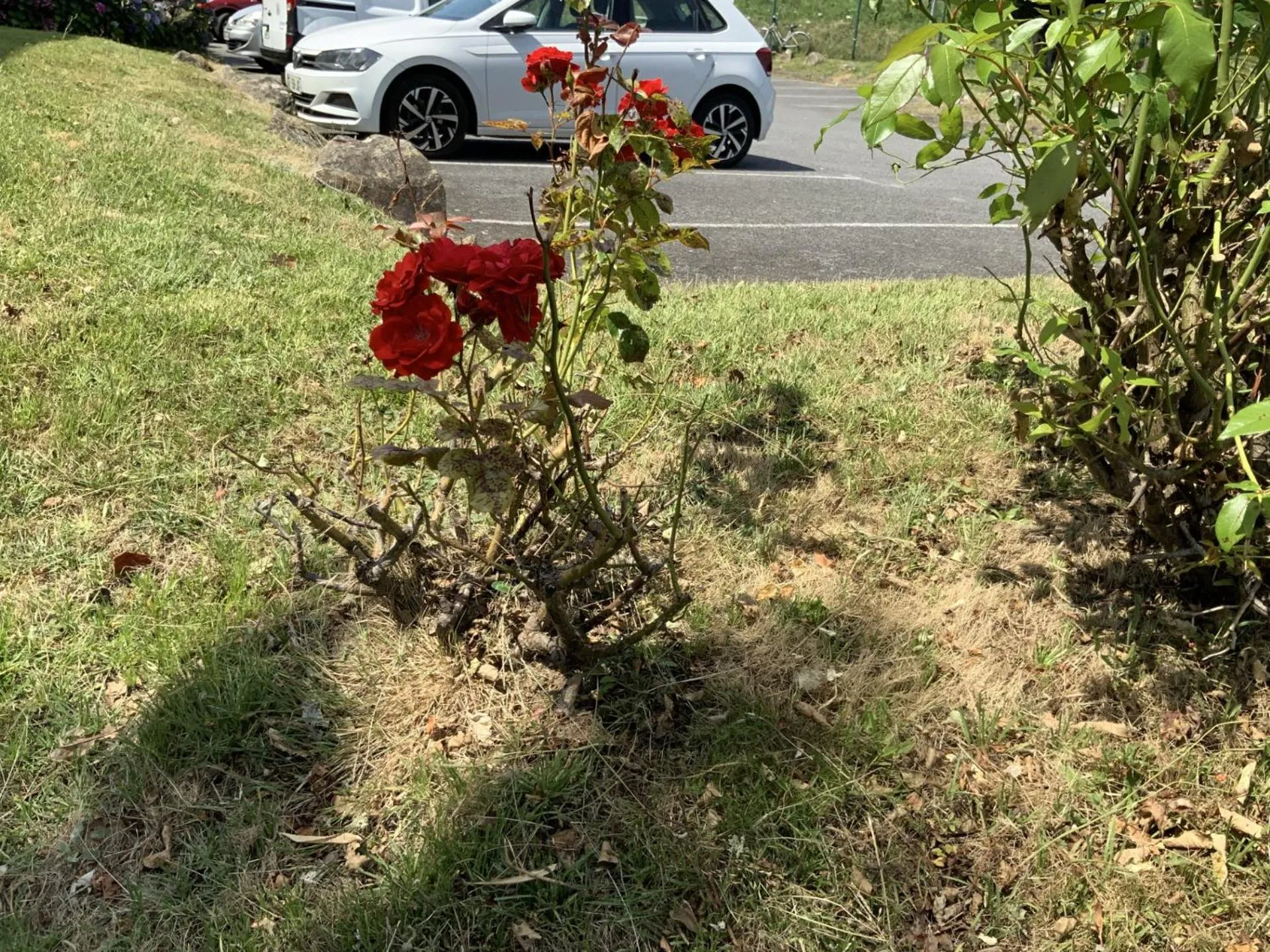 Parking in Premiere Classe Vannes