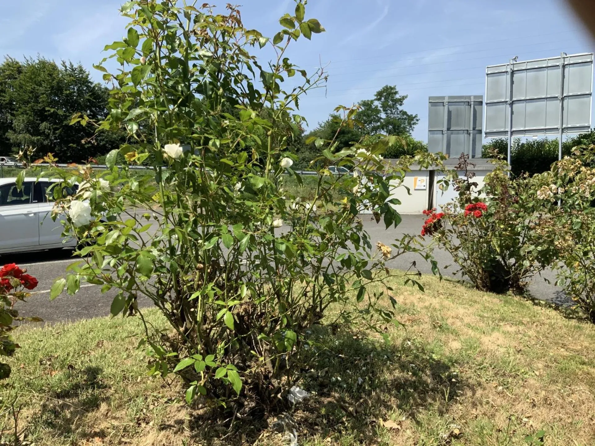 Parking in Premiere Classe Vannes