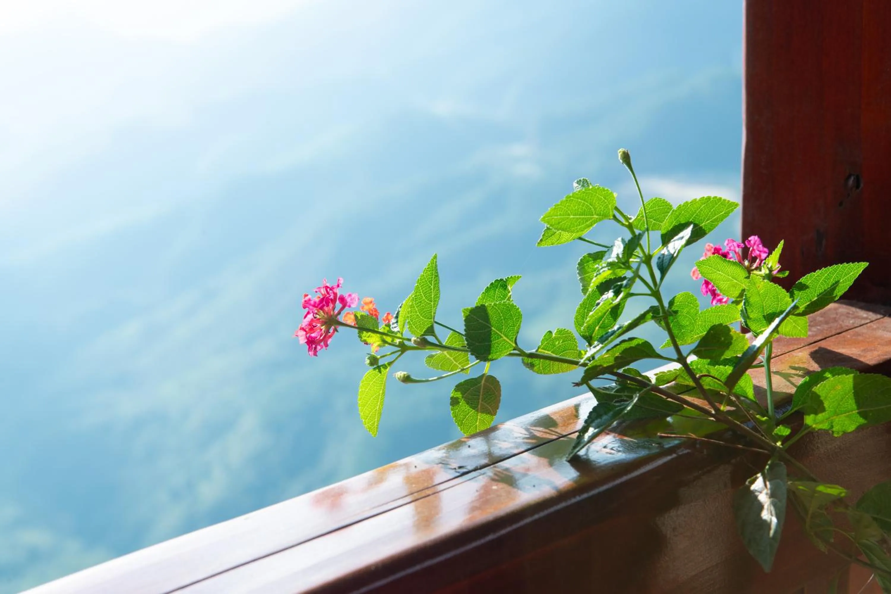 Heaven Gate O Quy Ho Hotel Sapa