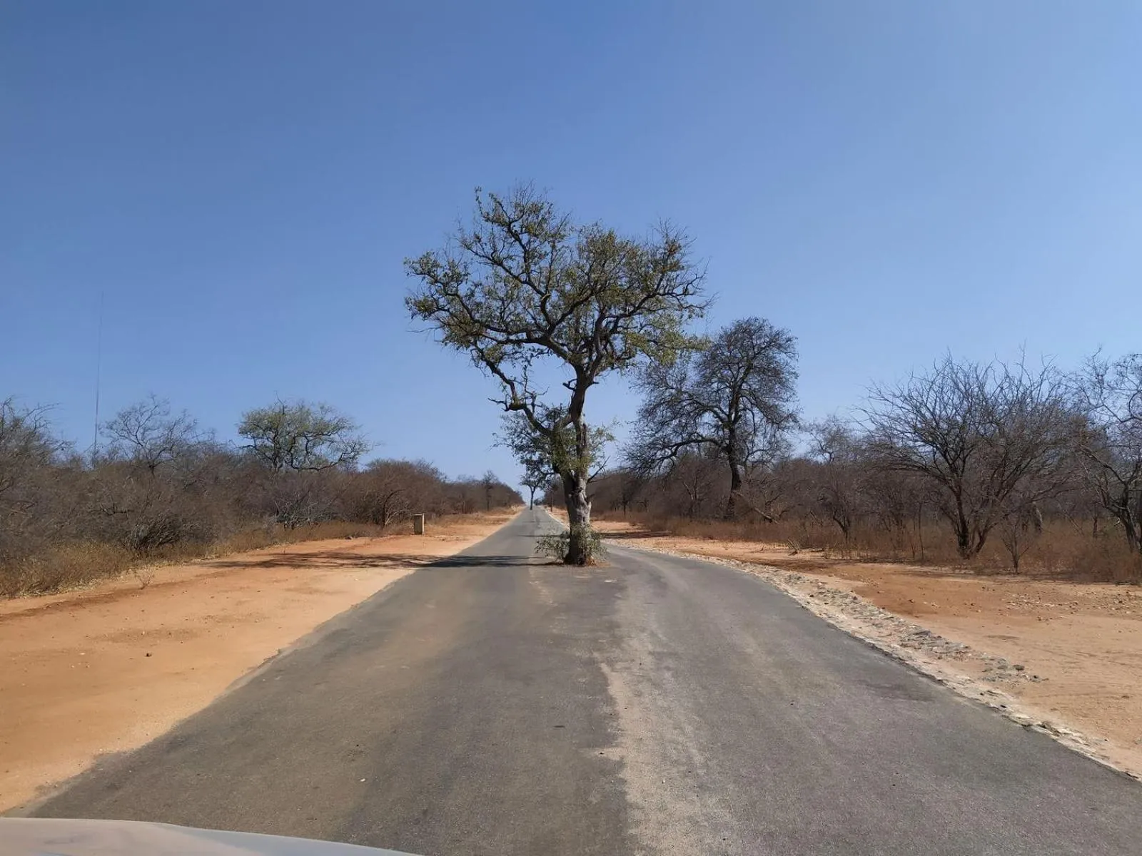 Property building in Ukuthula Bush Lodge