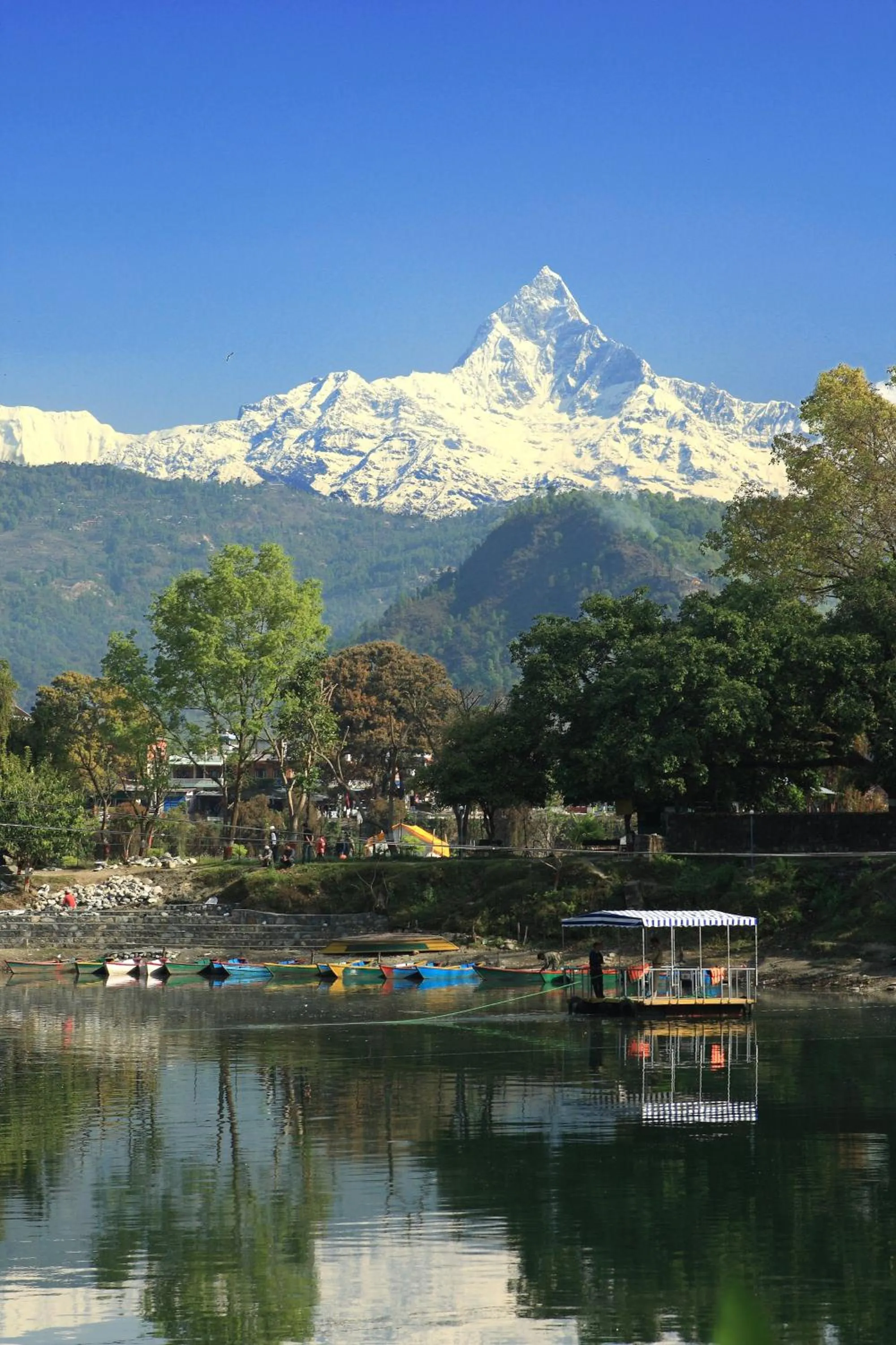View (from property/room) in Fish Tail Lodge