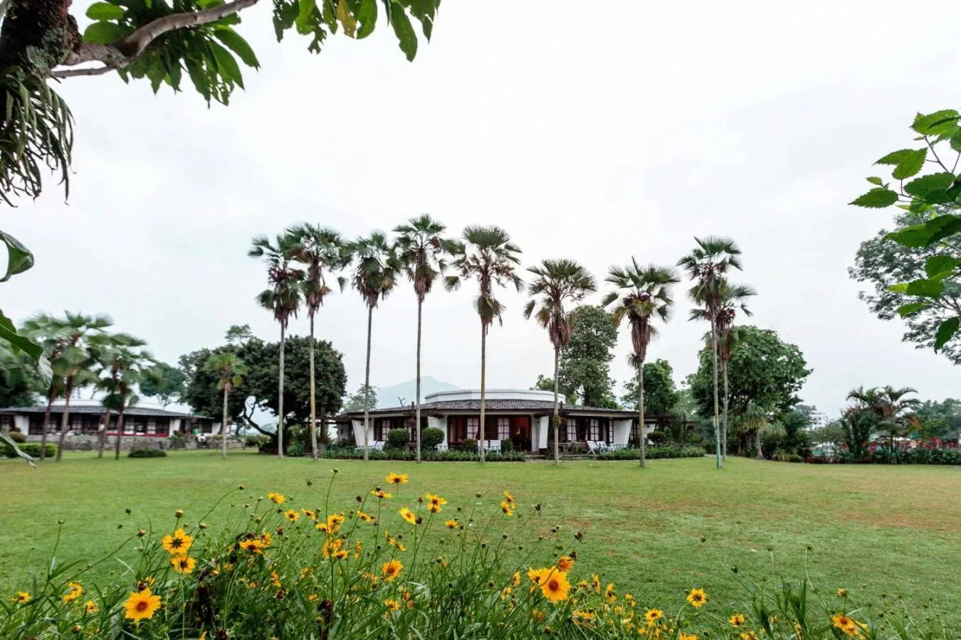 Garden in Fish Tail Lodge