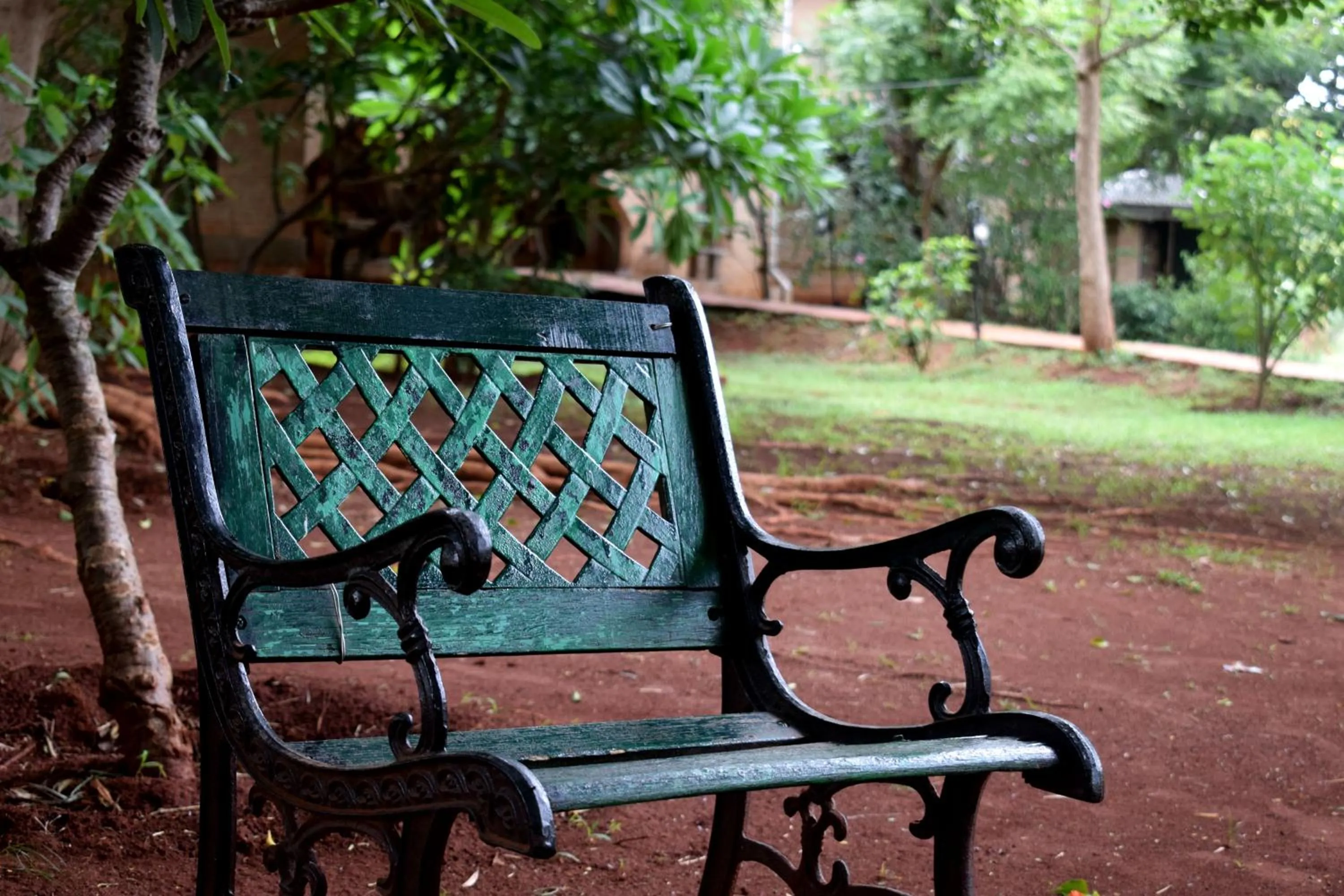 Patio in Our Native Village
