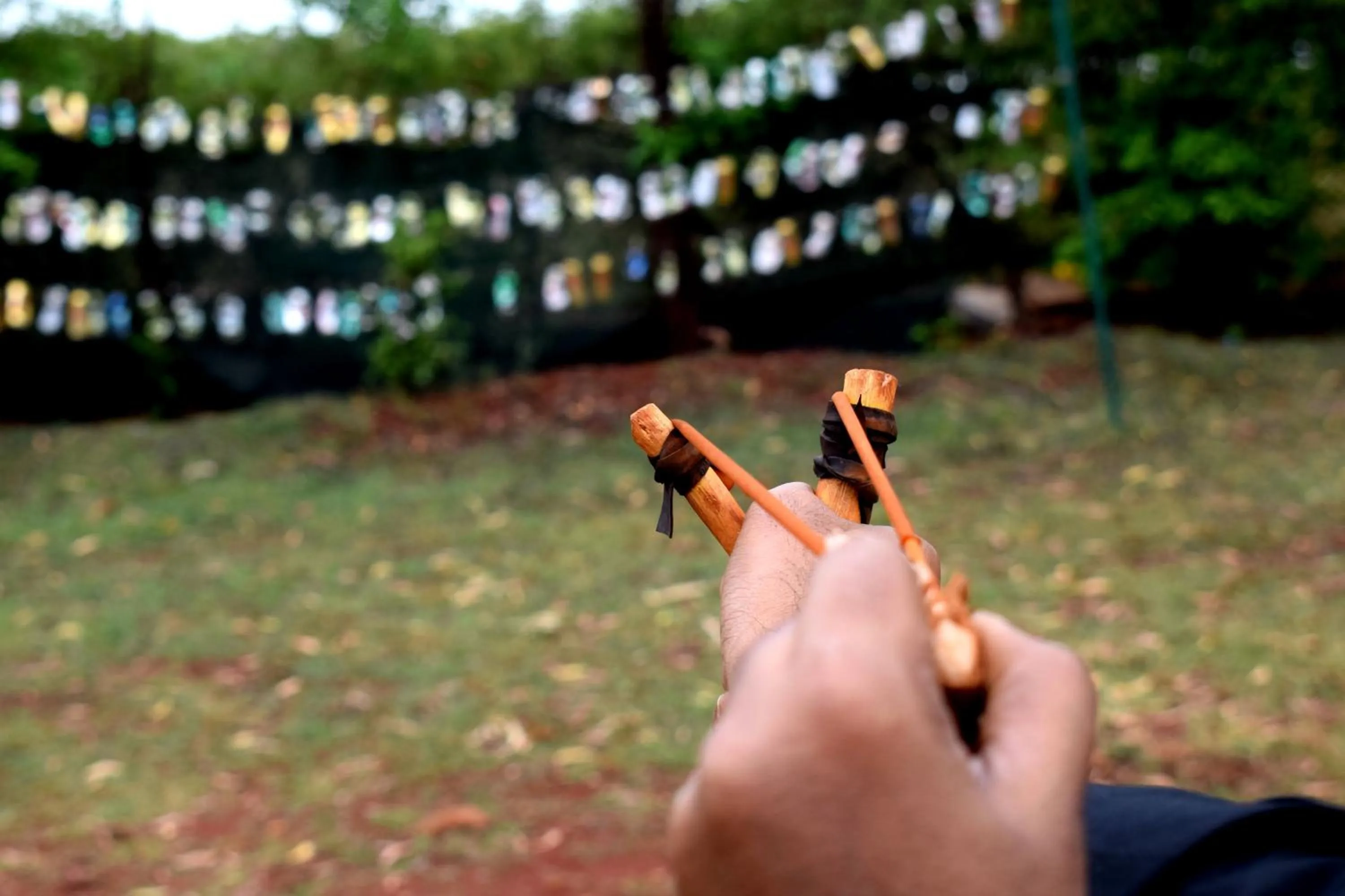 Activities in Our Native Village