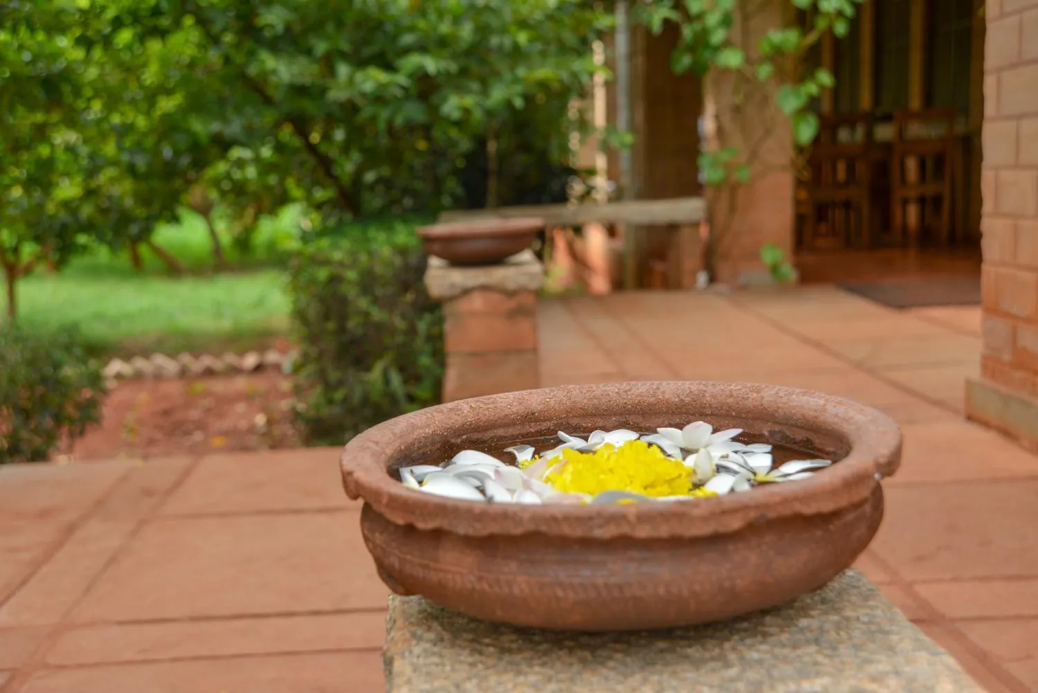 Natural landscape in Our Native Village