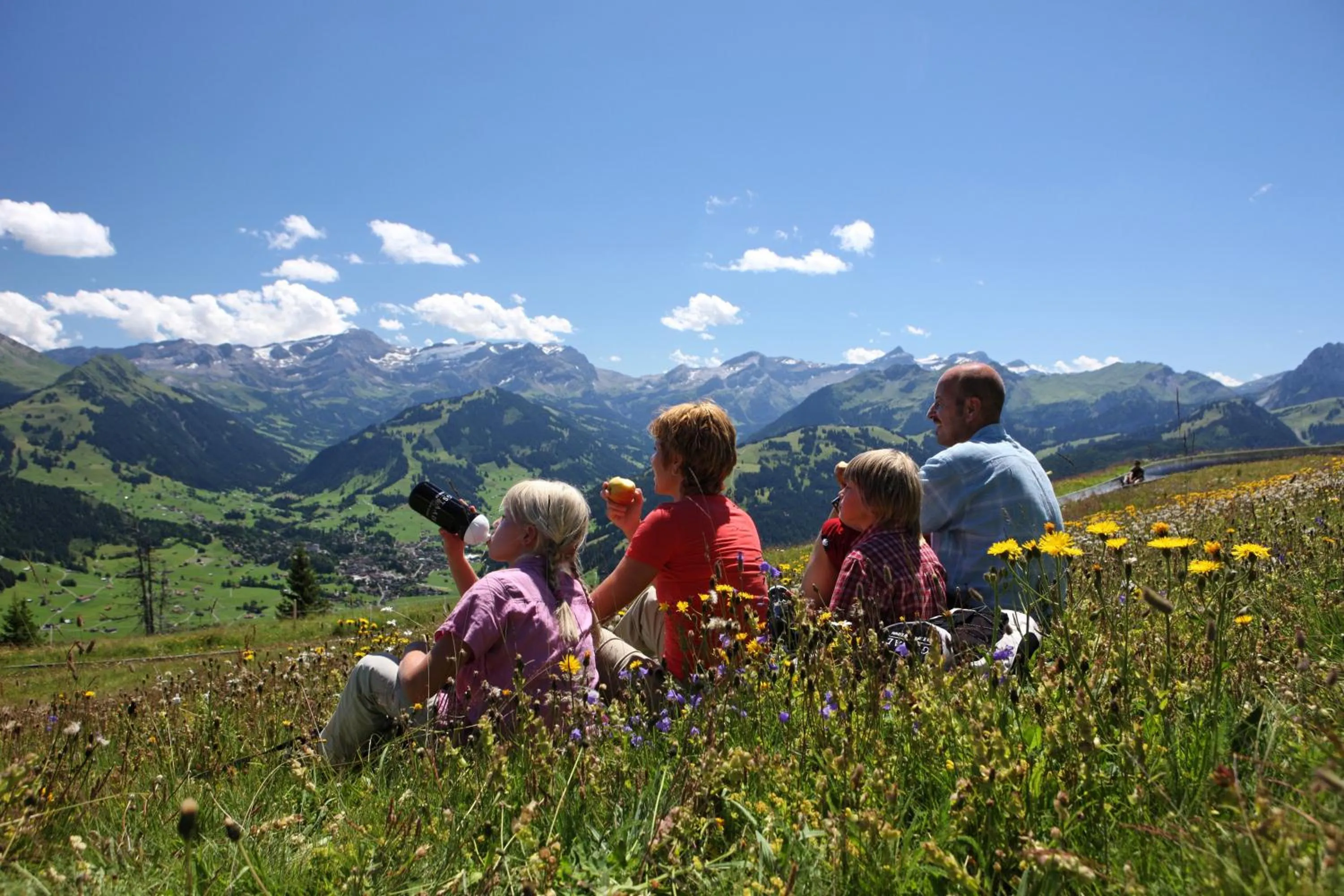 Area and facilities in Hotel Spitzhorn Superieur