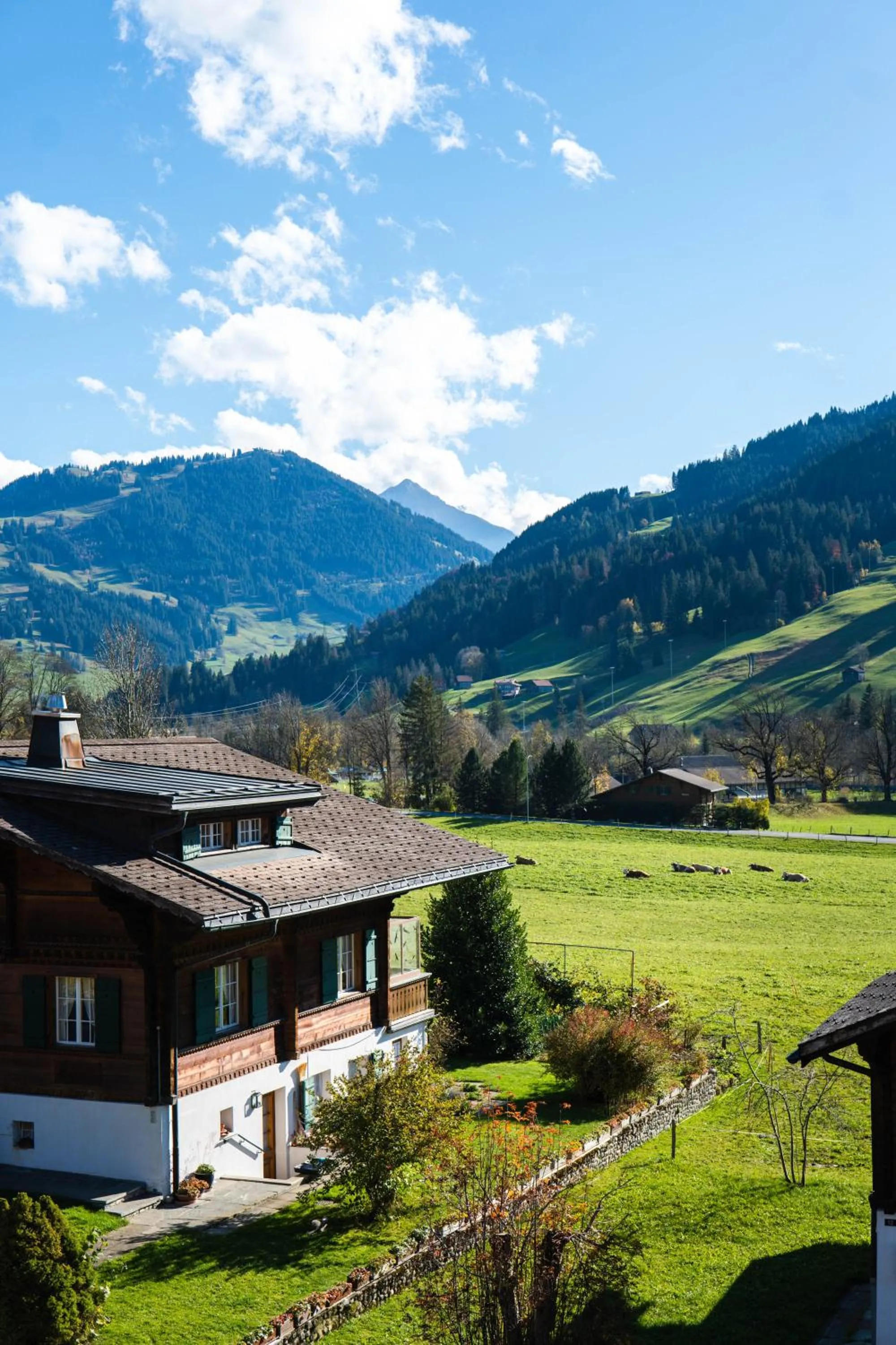 Mountain view in Hotel Spitzhorn Superieur