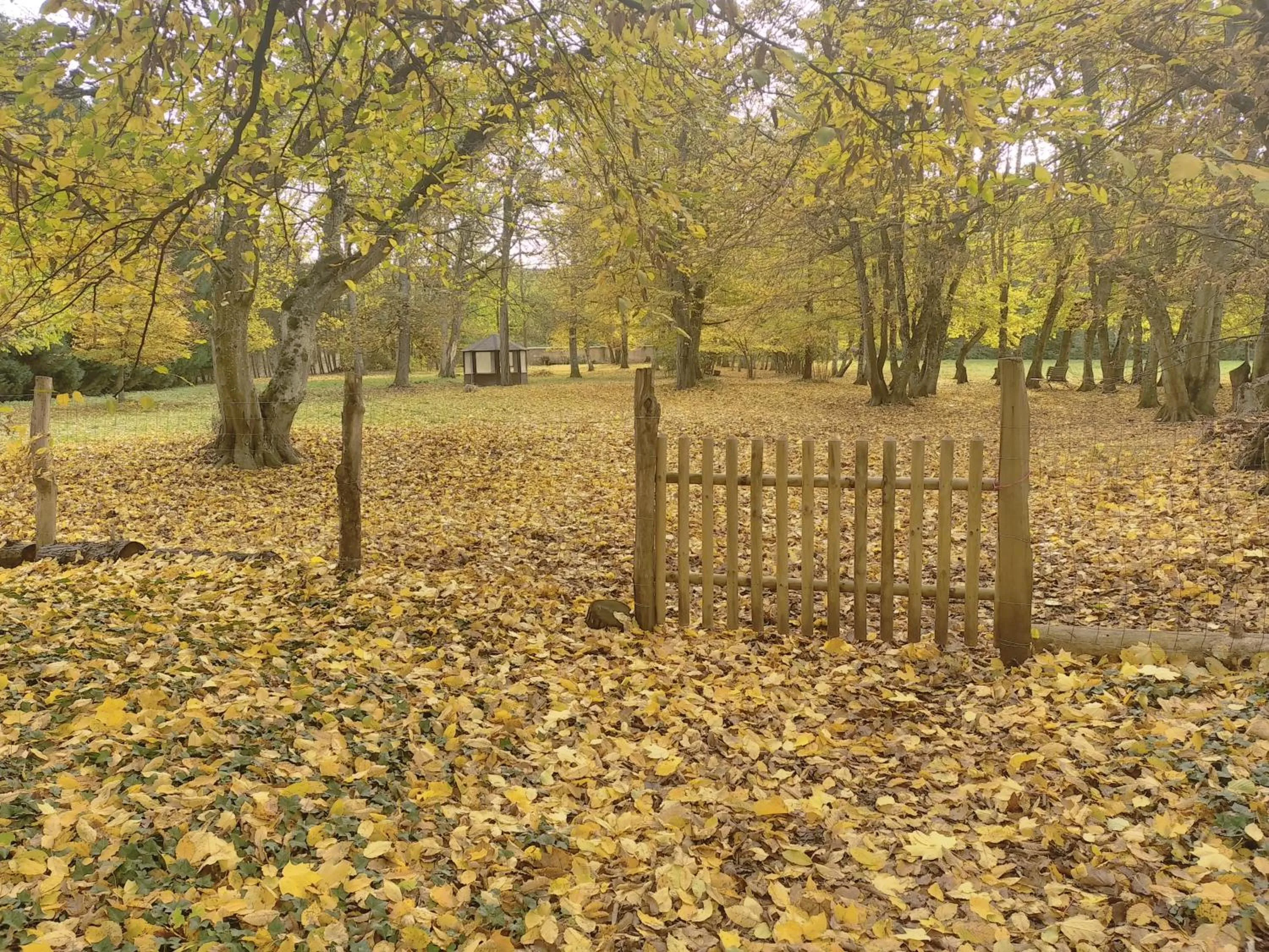 Garden in La Passagere