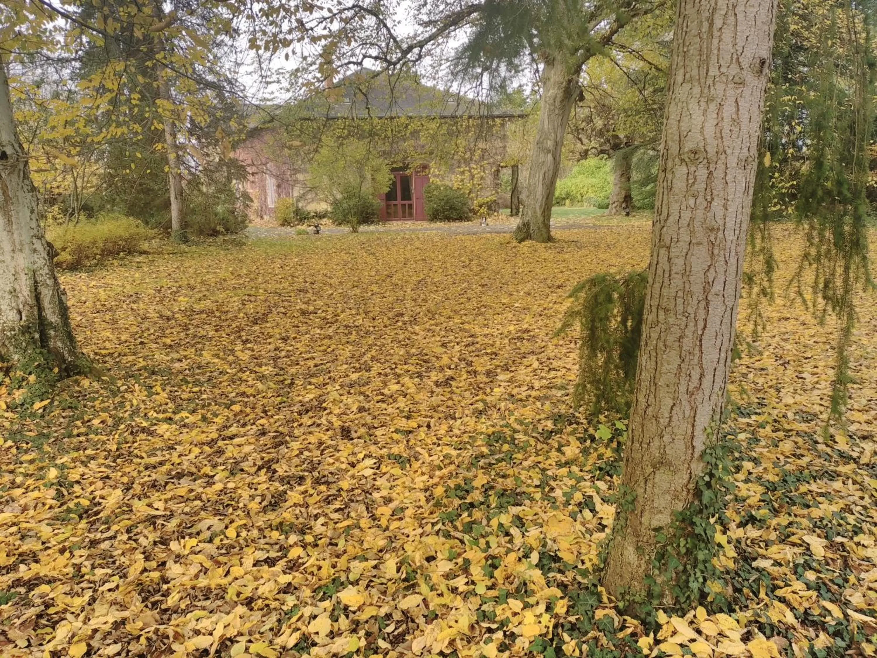 Garden in La Passagere