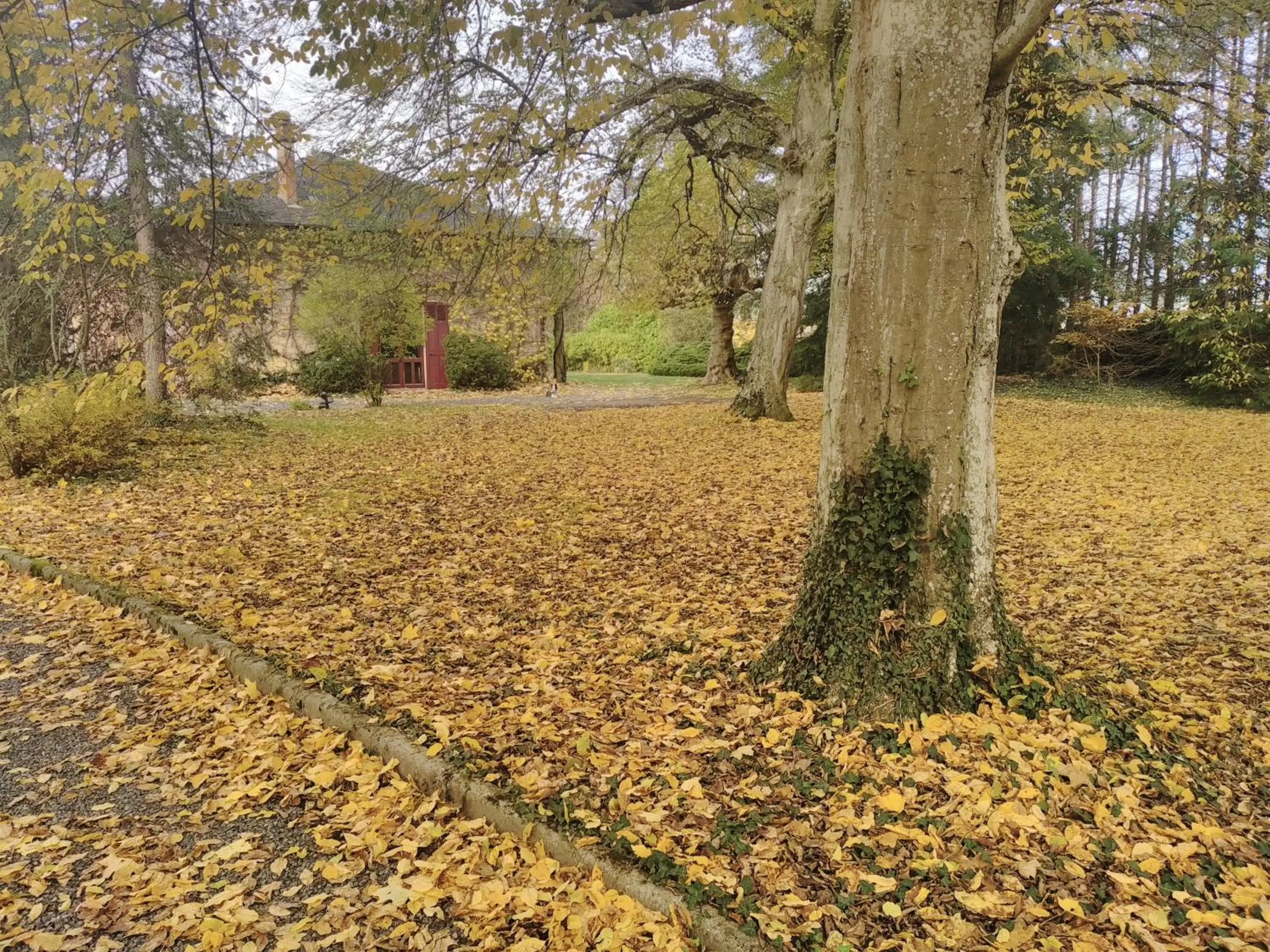 Garden in La Passagere