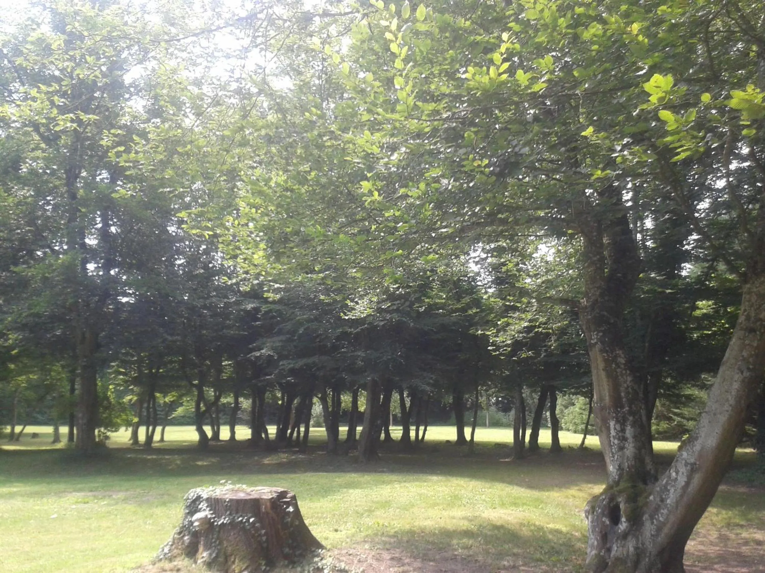 Garden in La Passagere