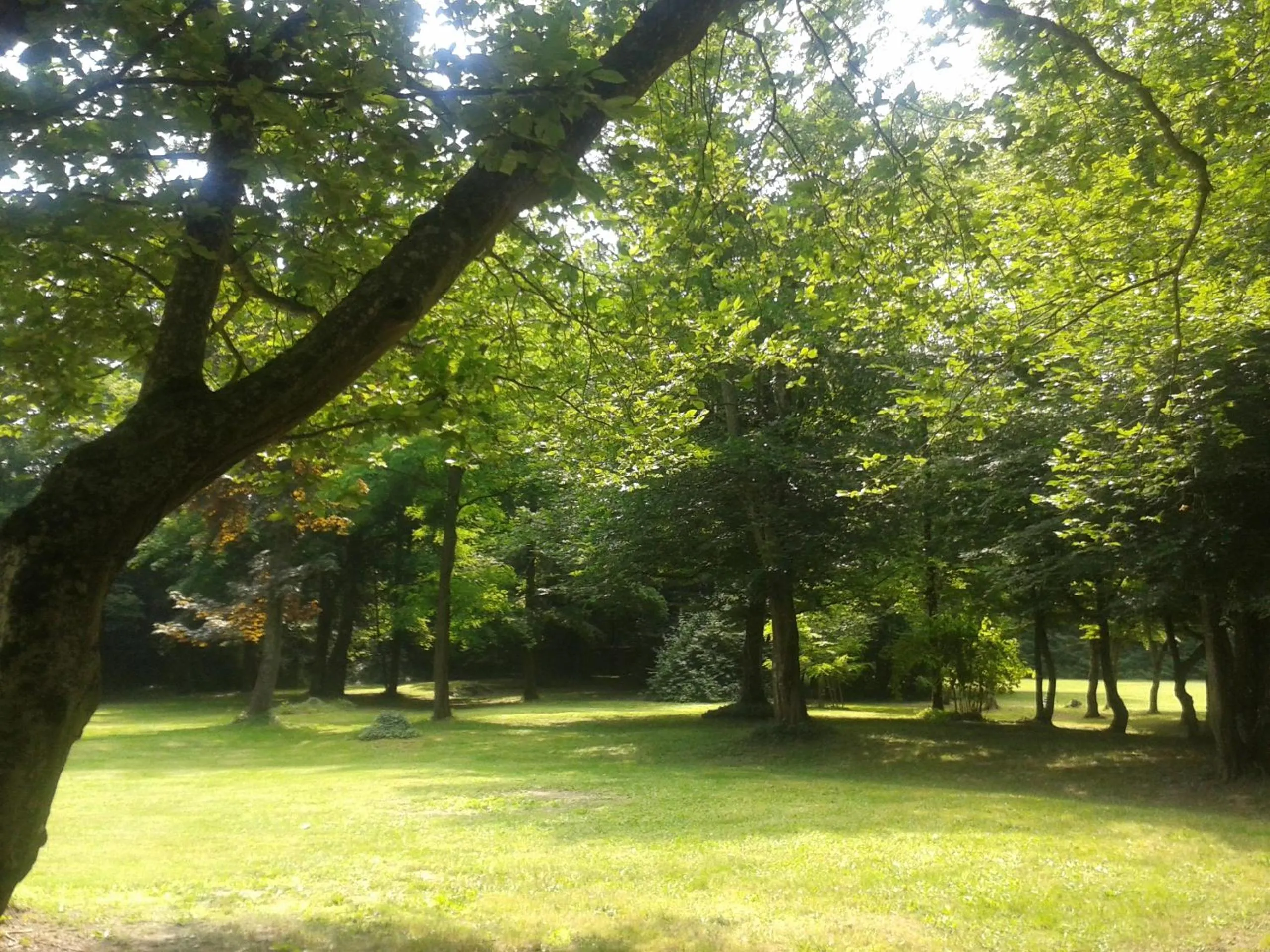 Garden in La Passagere