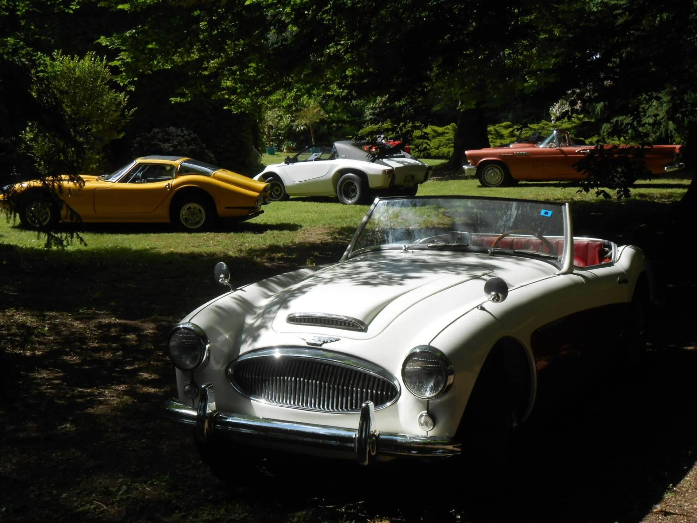 Other in La Passagere