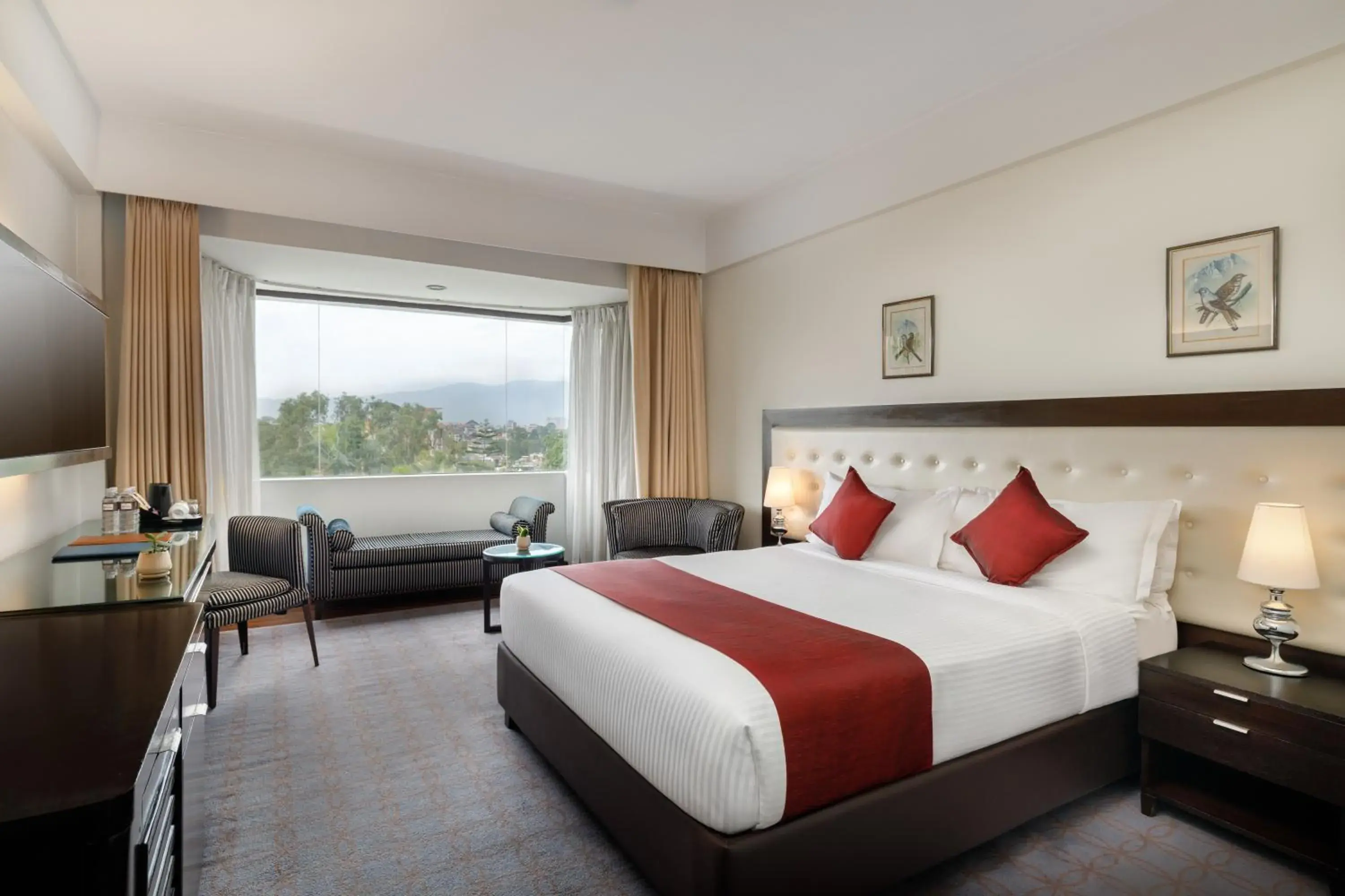 Deluxe Double or Twin Room - single occupancy - Free Airport Pick up and Drop in Hotel Himalaya Deluxe Double or Twin Room - single occupancy - Free Airport Pick up and Drop in Hotel Himalaya