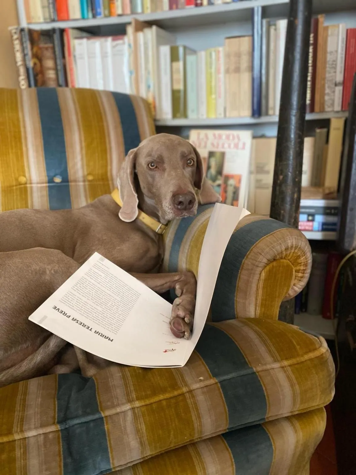 Library in Casa d'artista - Camere in residenza di Charme