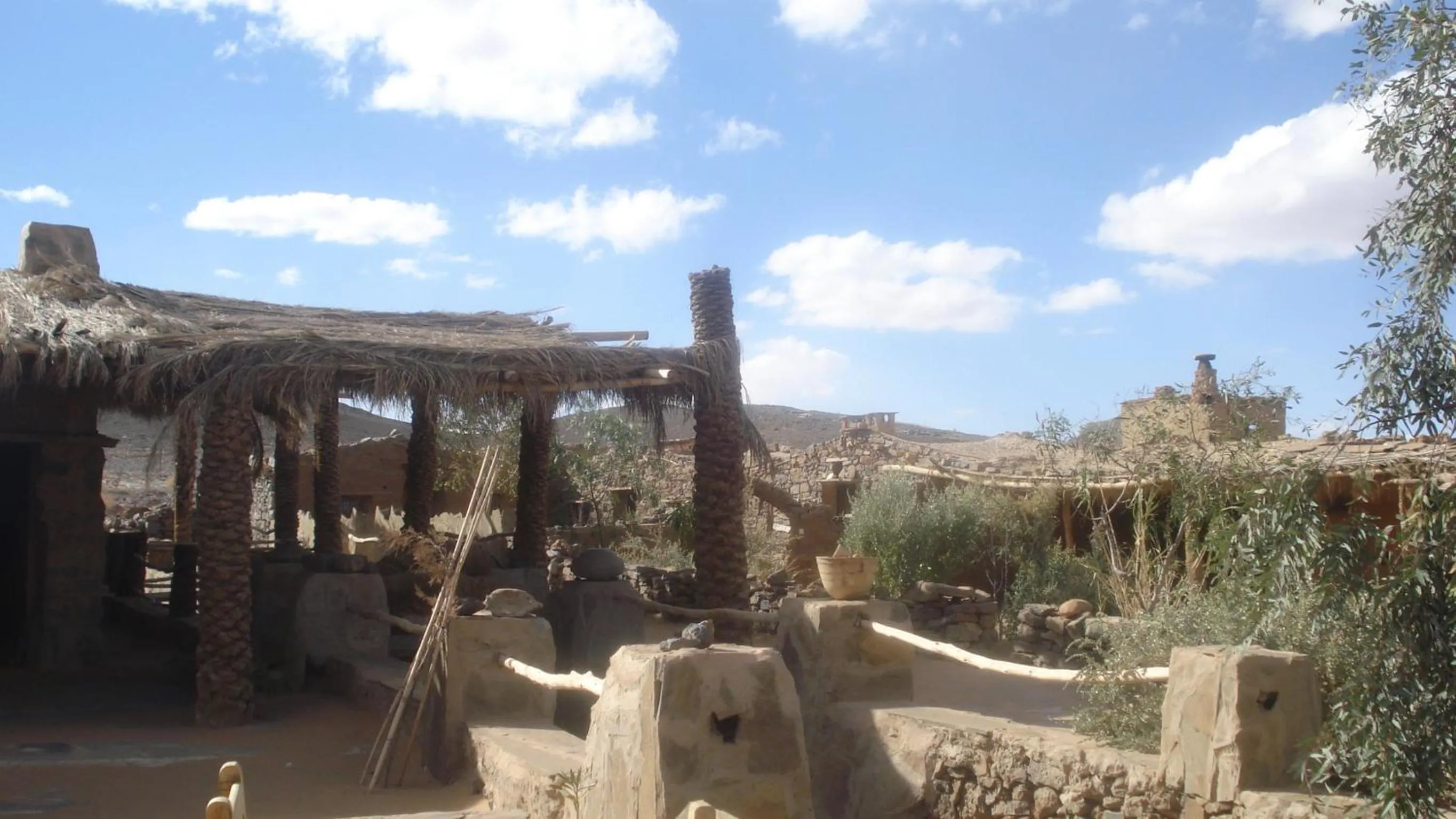 Garden in Maison Boutchrafine