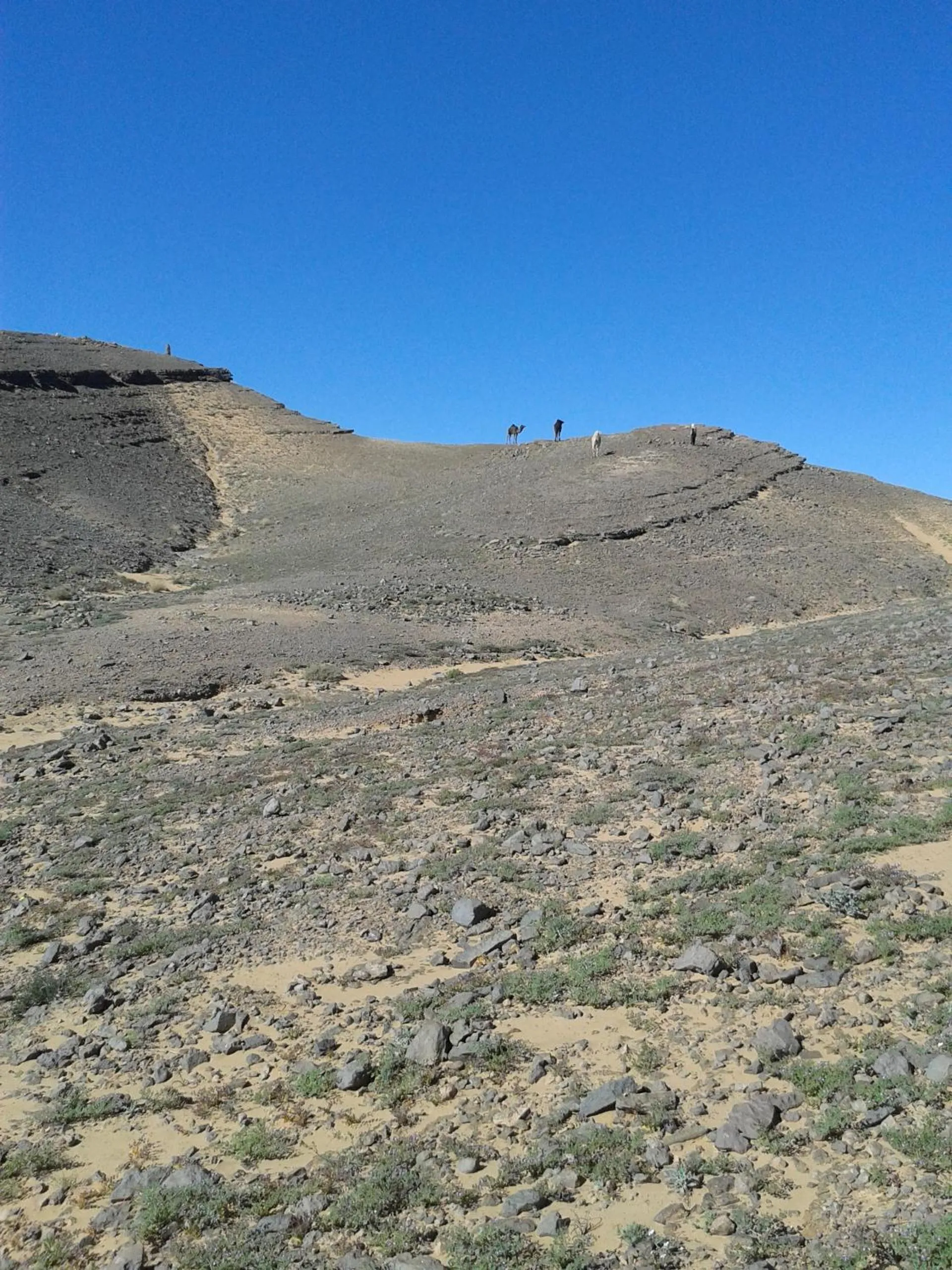 Area and facilities in Maison Boutchrafine