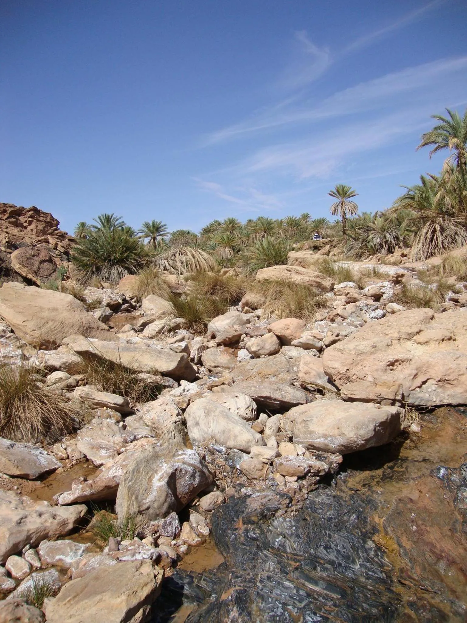 Area and facilities in Maison Boutchrafine