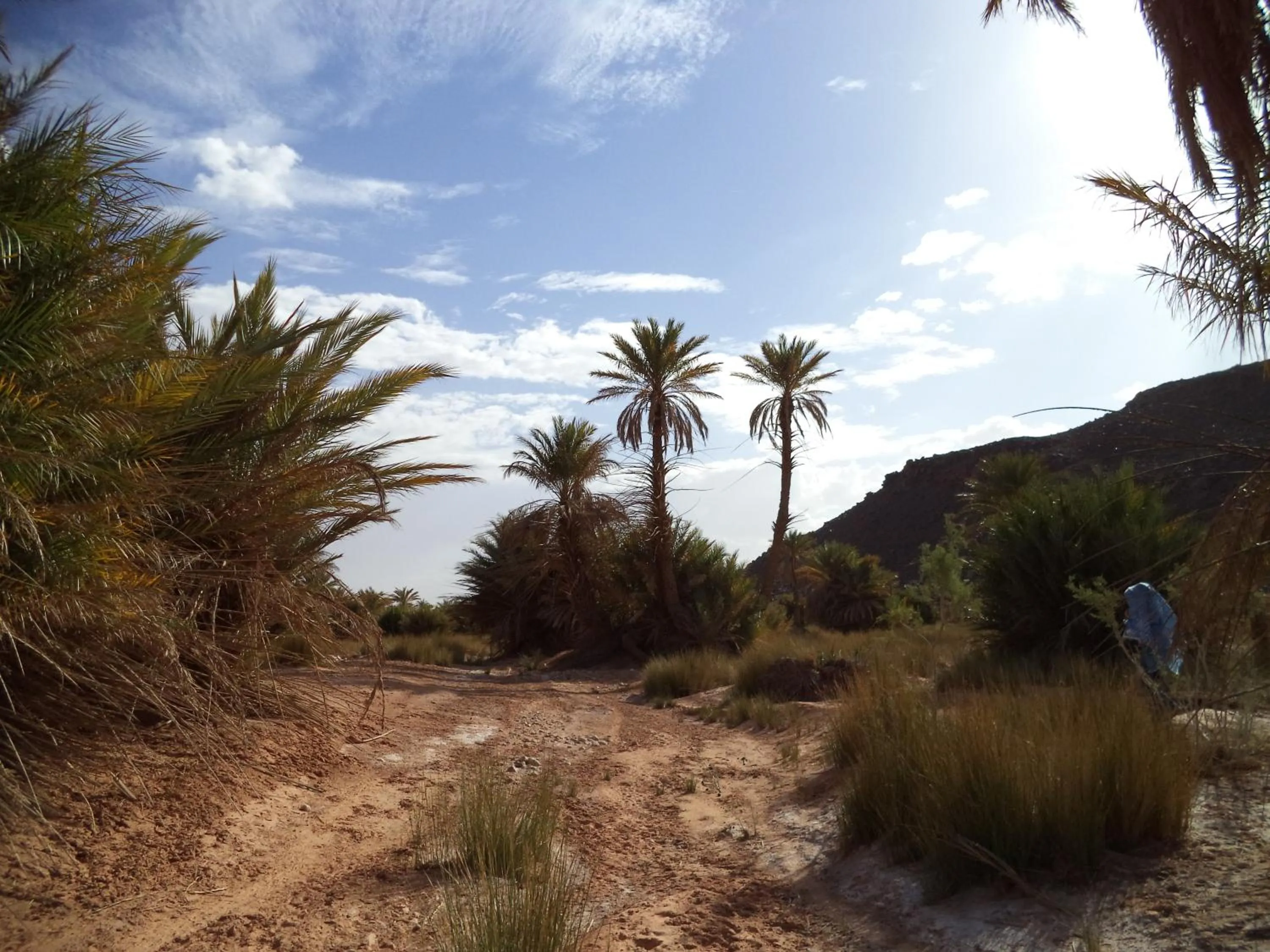 Area and facilities in Maison Boutchrafine