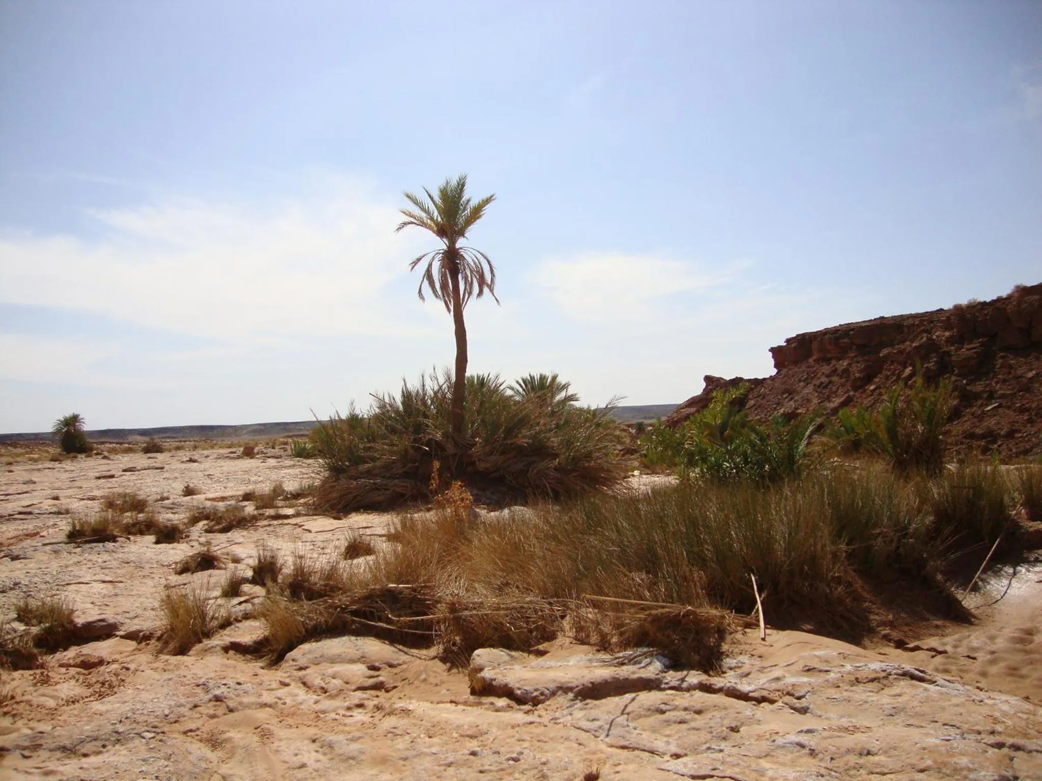 Area and facilities in Maison Boutchrafine