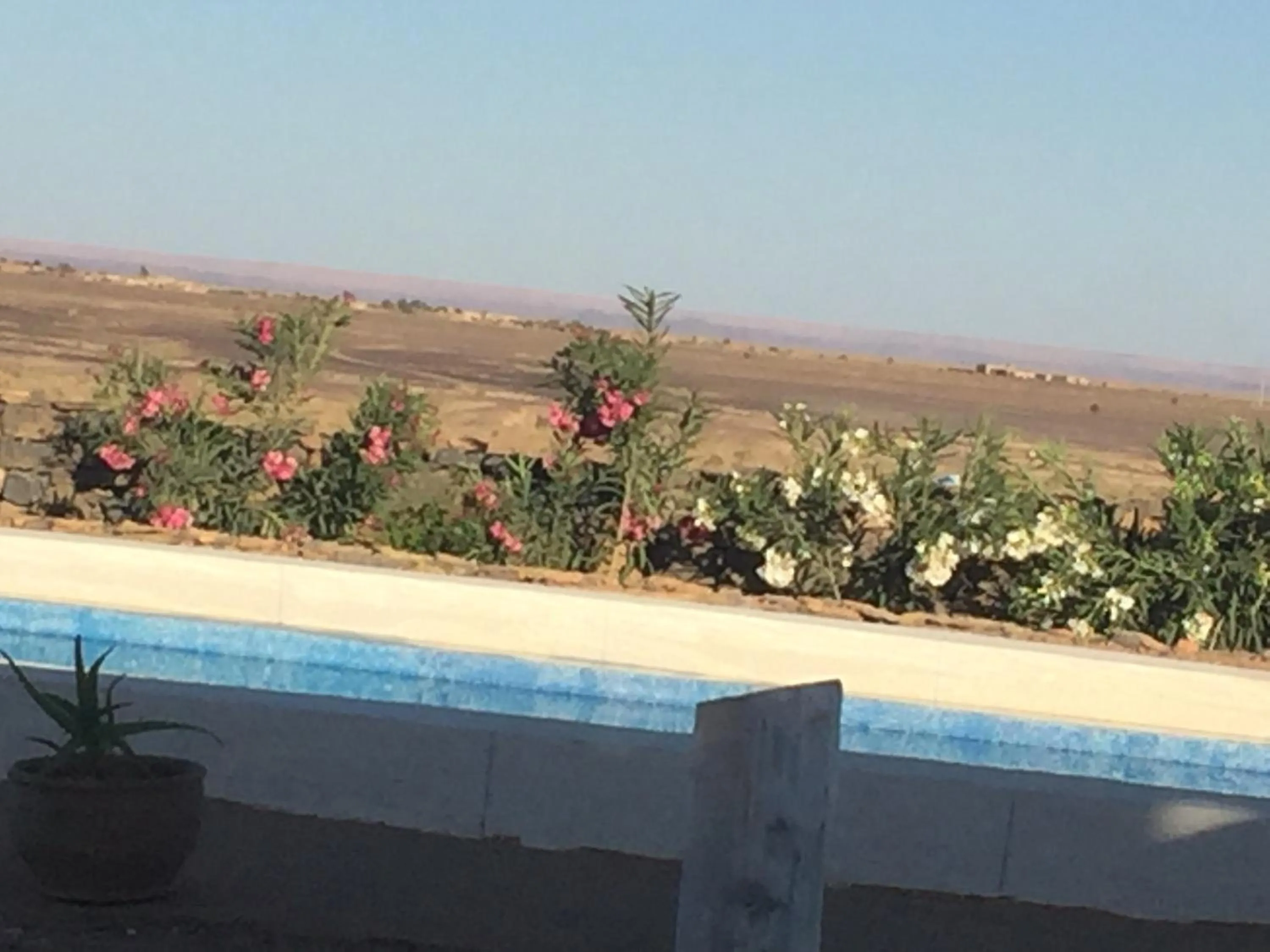 Swimming pool in Maison Boutchrafine